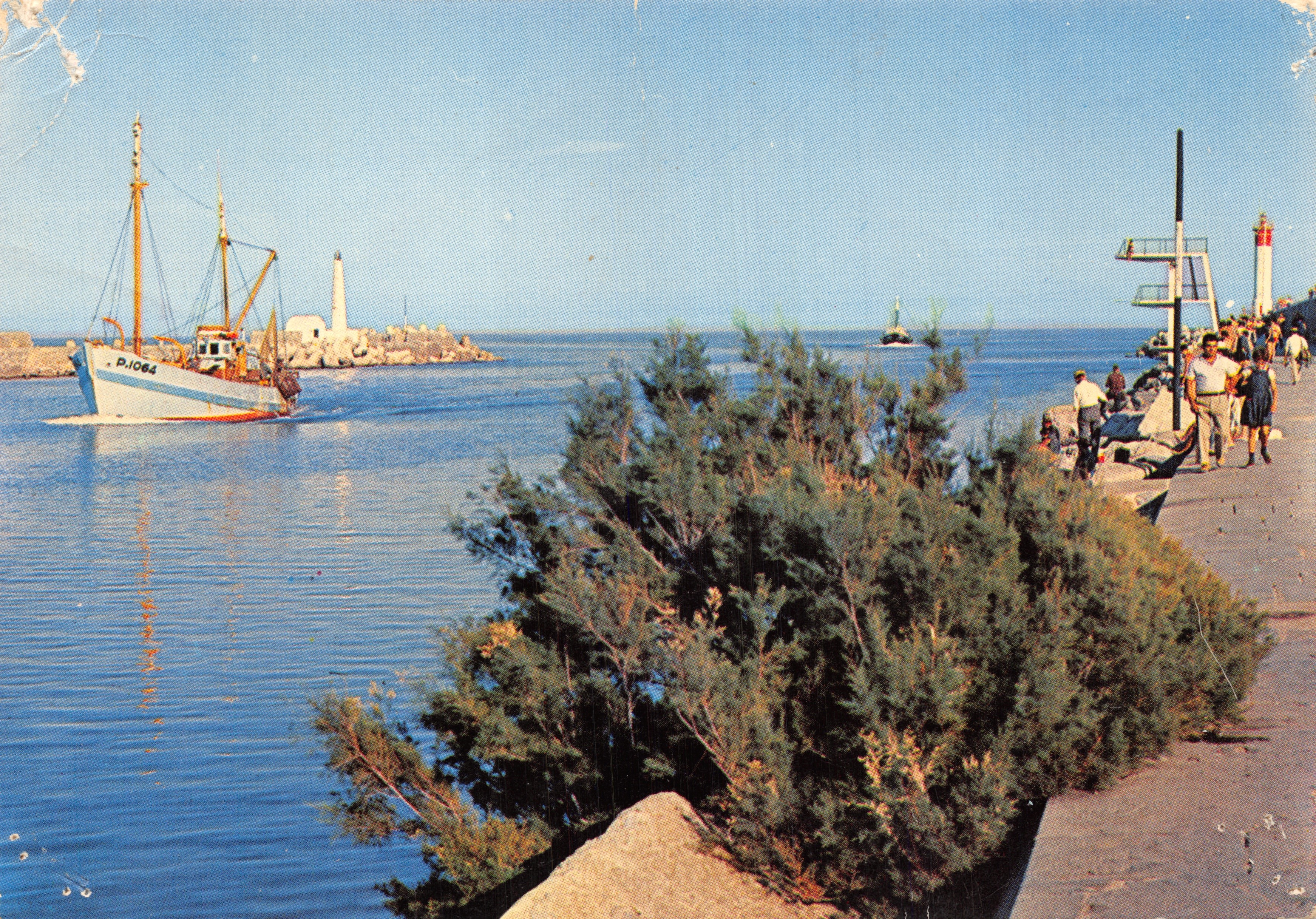 Port-La-Nouvelle — Arrivée d'un chalutier — Éditions S.E.P.T. - NICE