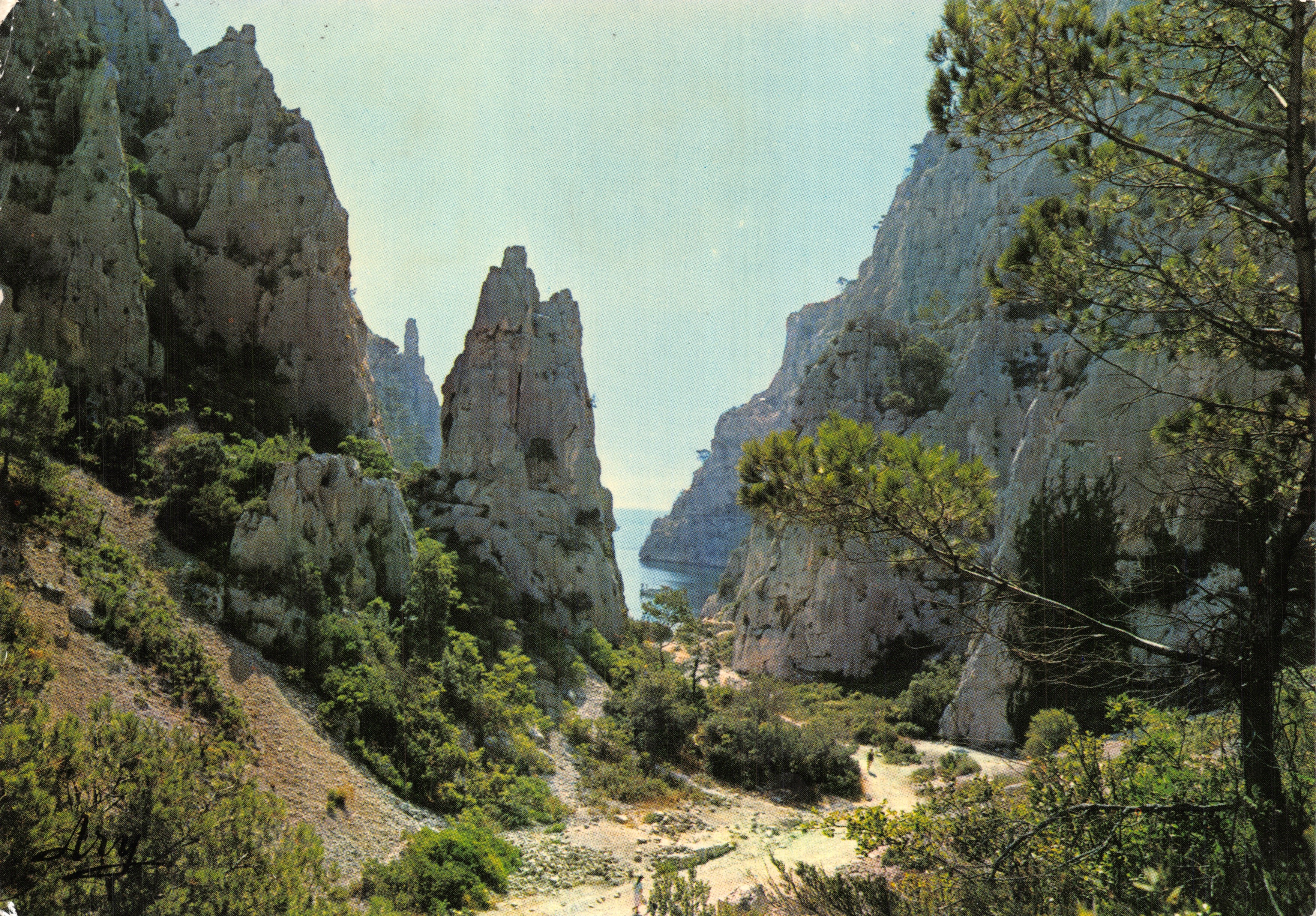 Les Calanques — vue du sentier de Vau et son aiguille — Édition TARDY - 499