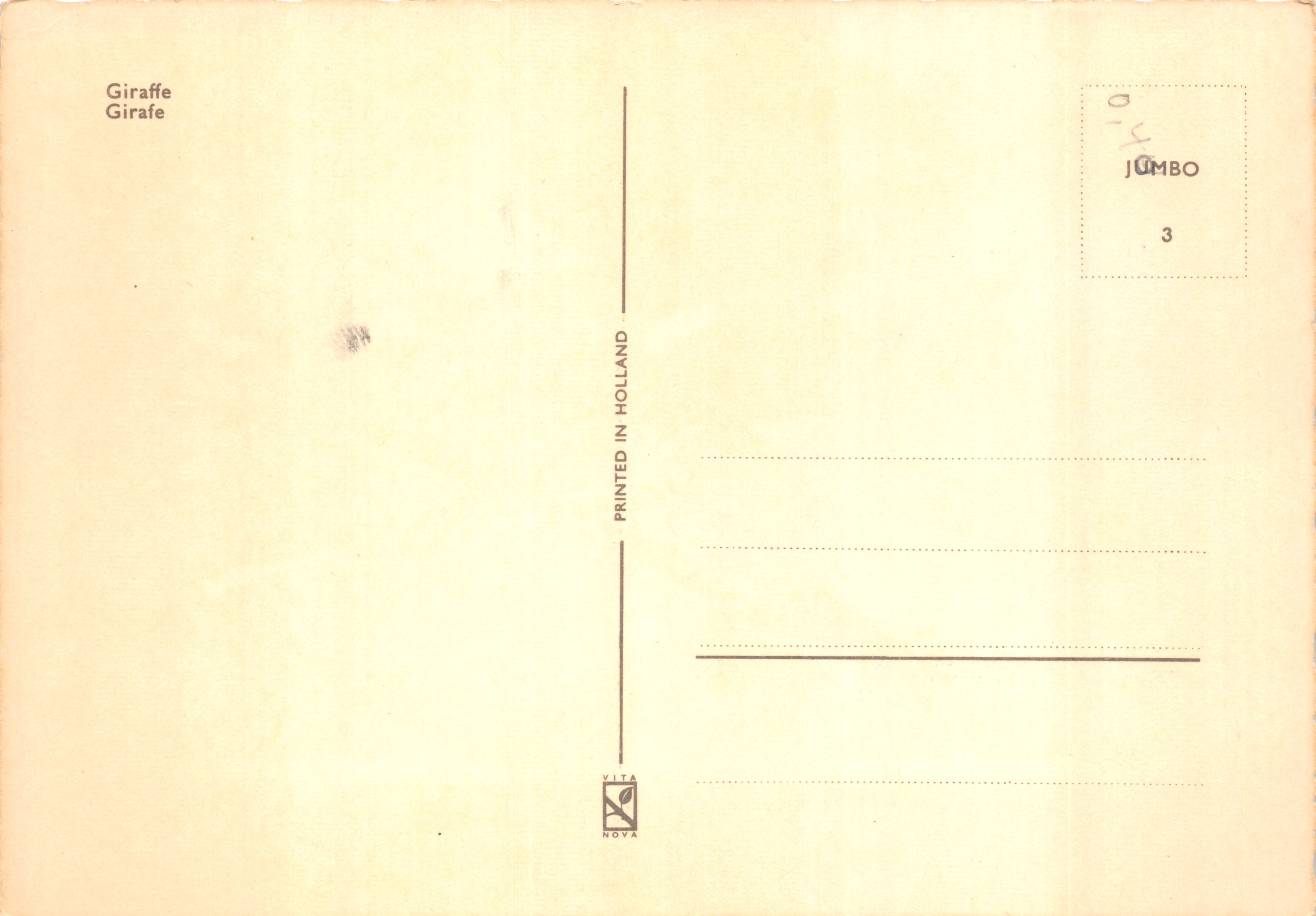 Girafe — savane africaine — éditeur JUMBO, n°3 — Verso