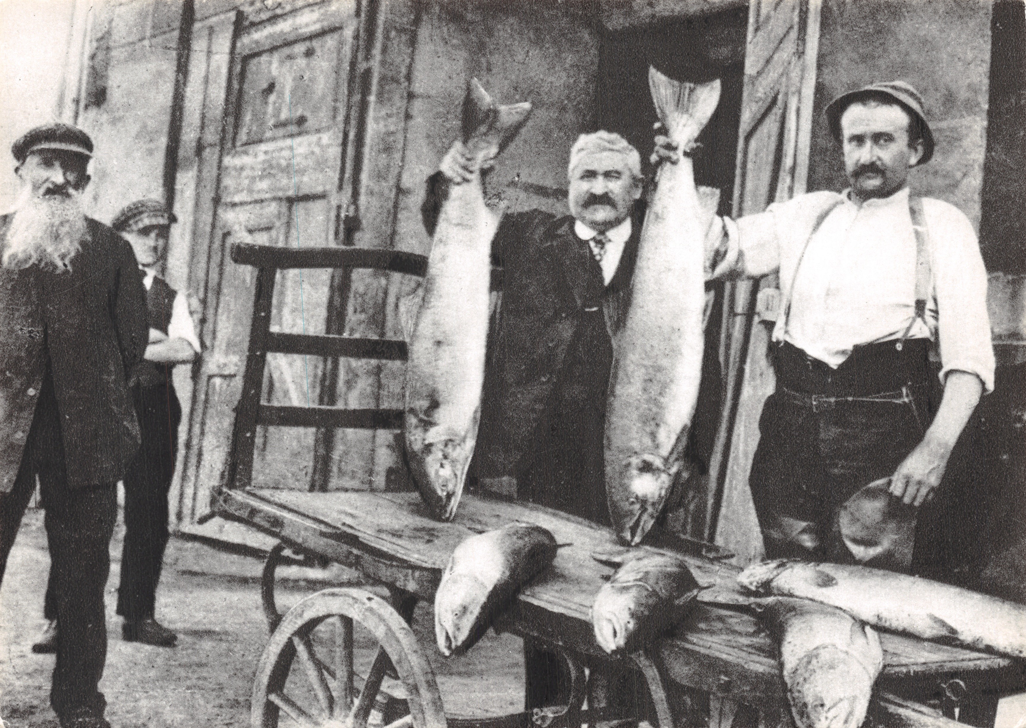 Pêche aux saumons — scène de marché — Éditions ARSERE et DEMO