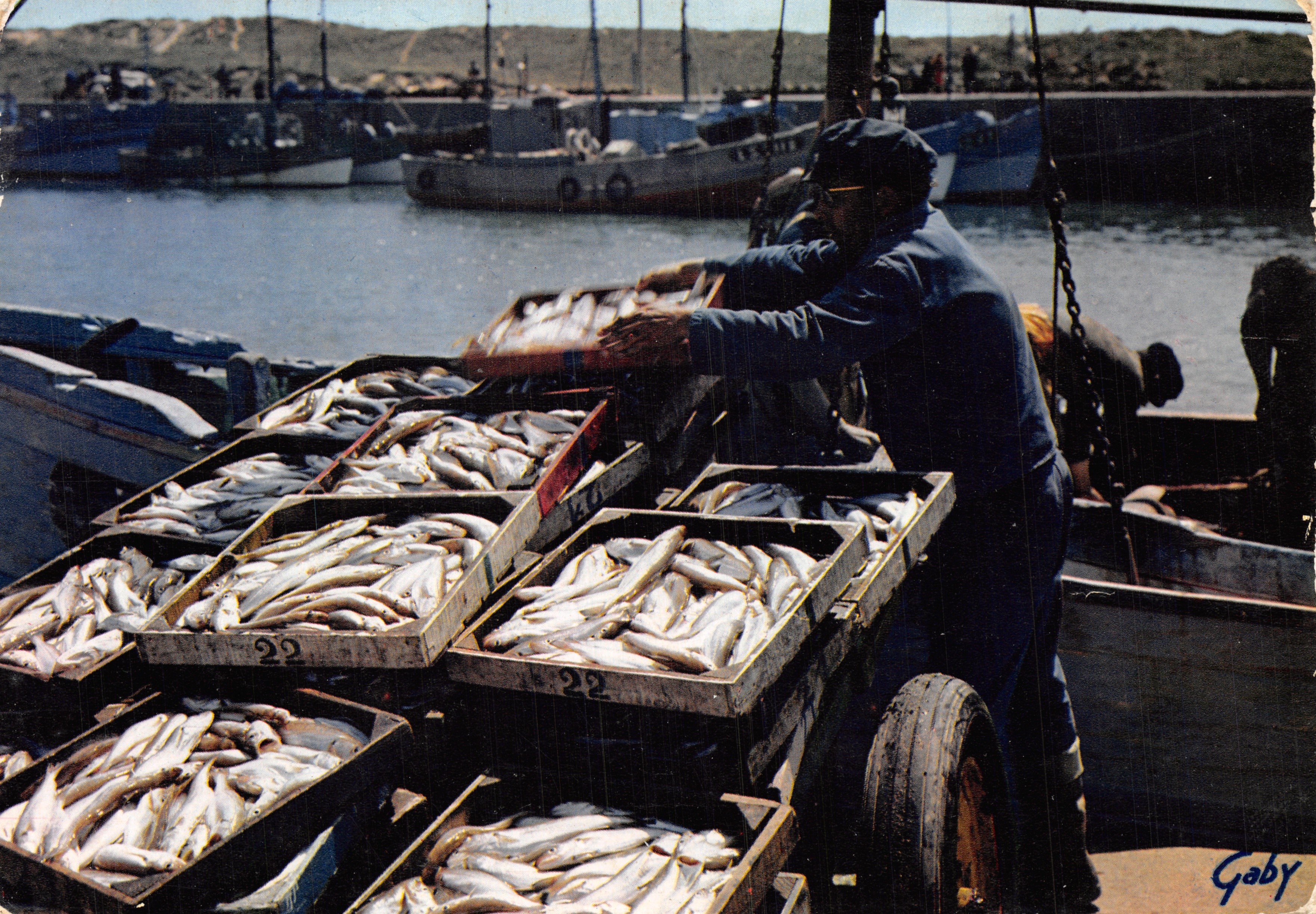 Débarquement de poissons — scène portuaire avec chariot à poissons — Gaby, éditeur