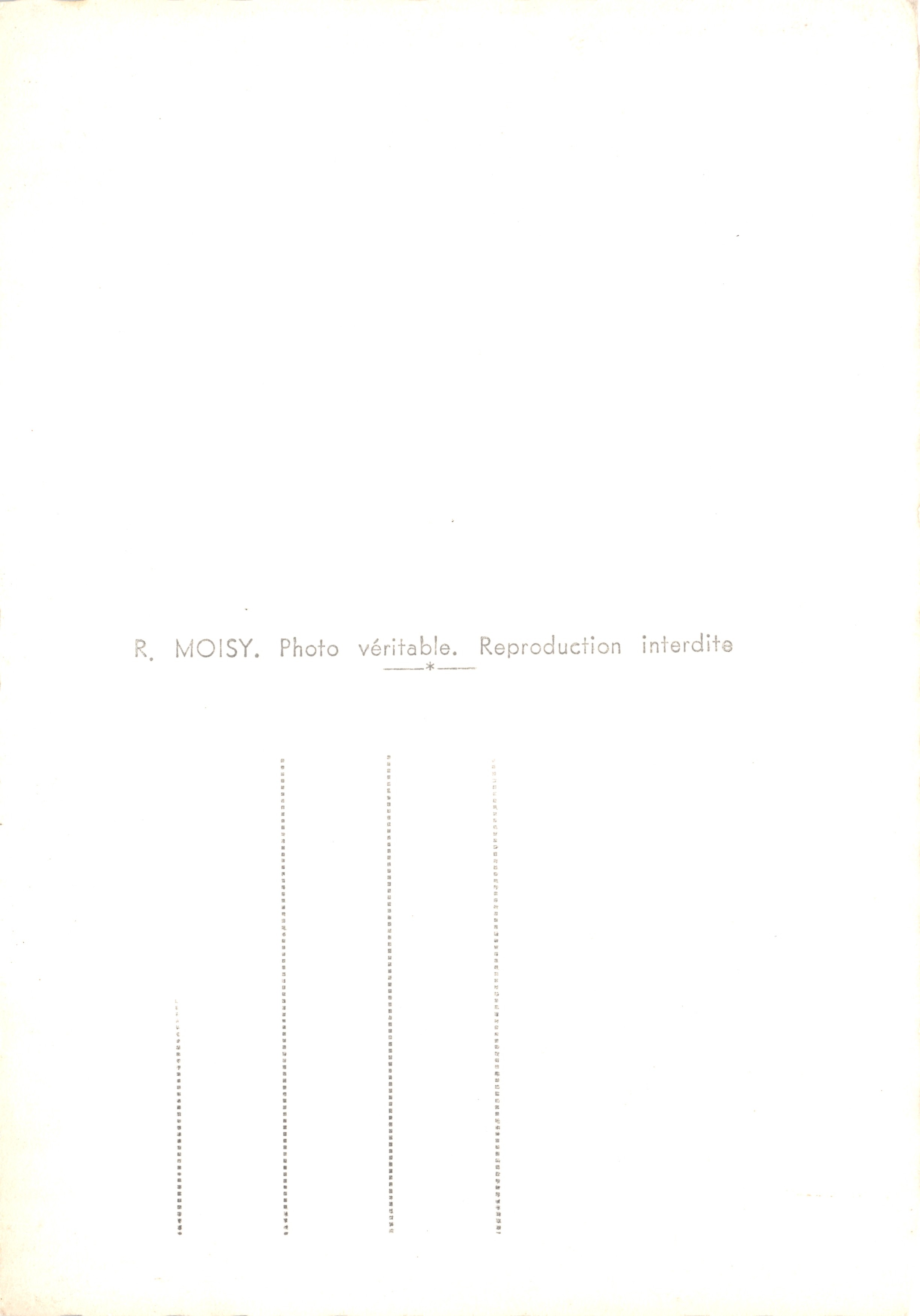 Vignes — vue encadrée de grappes de raisin avec clocher en arrière-plan — R. MOISY — Achterkant