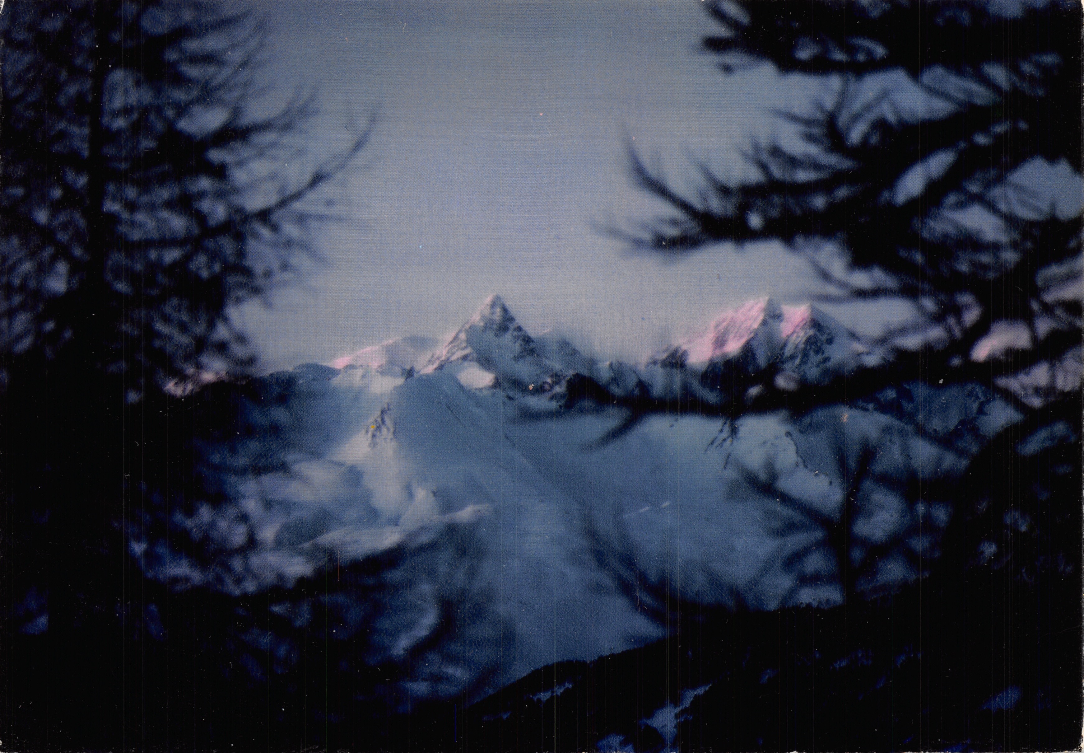 Montagnes enneigées — vue encadrée par des branches d'arbres — éditeur IRIS, n° 001721