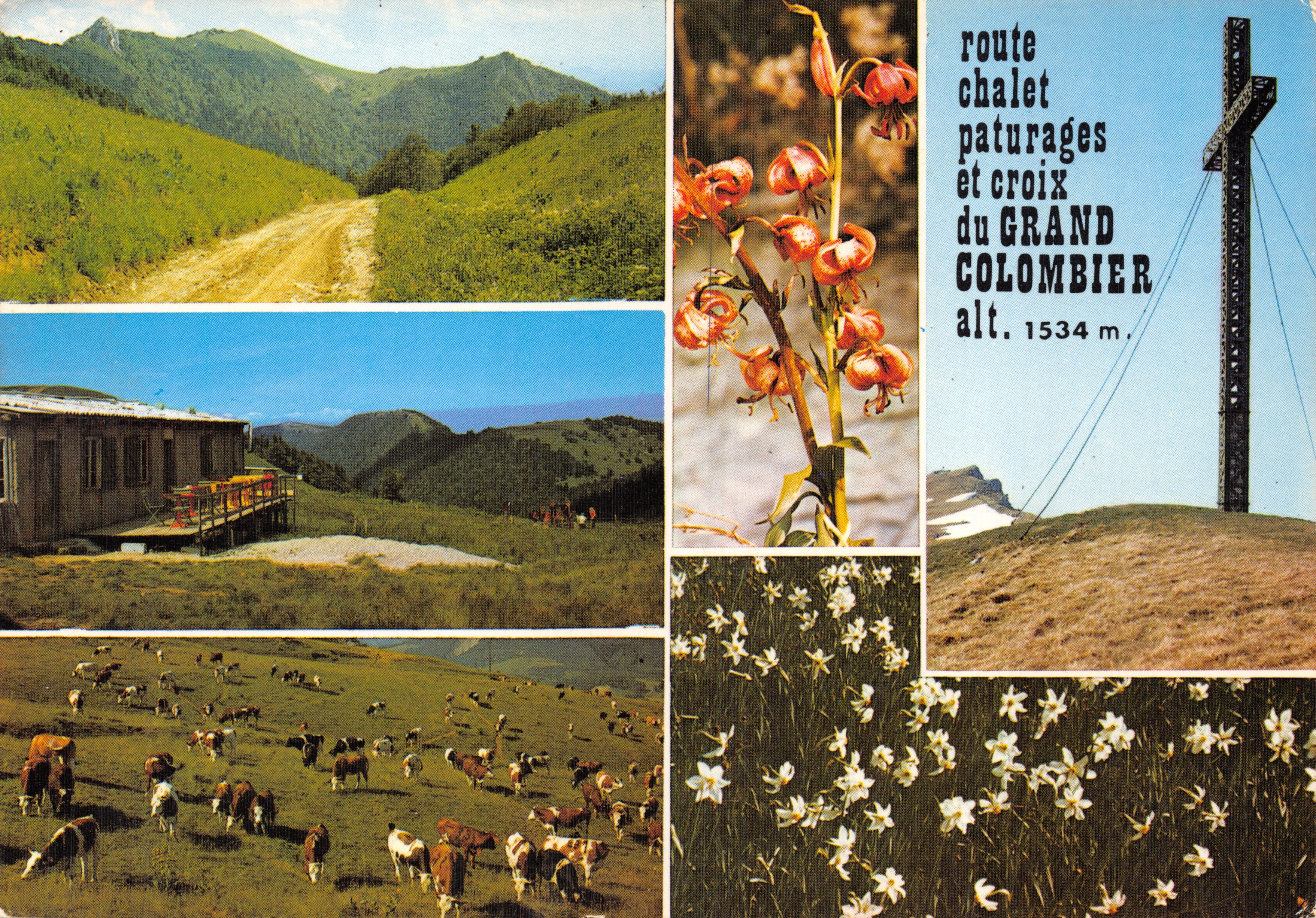 Route, chalet, pâturages et croix du Grand Colombier — alt. 1534 m. — Éditeur : Editions J. Cellard
