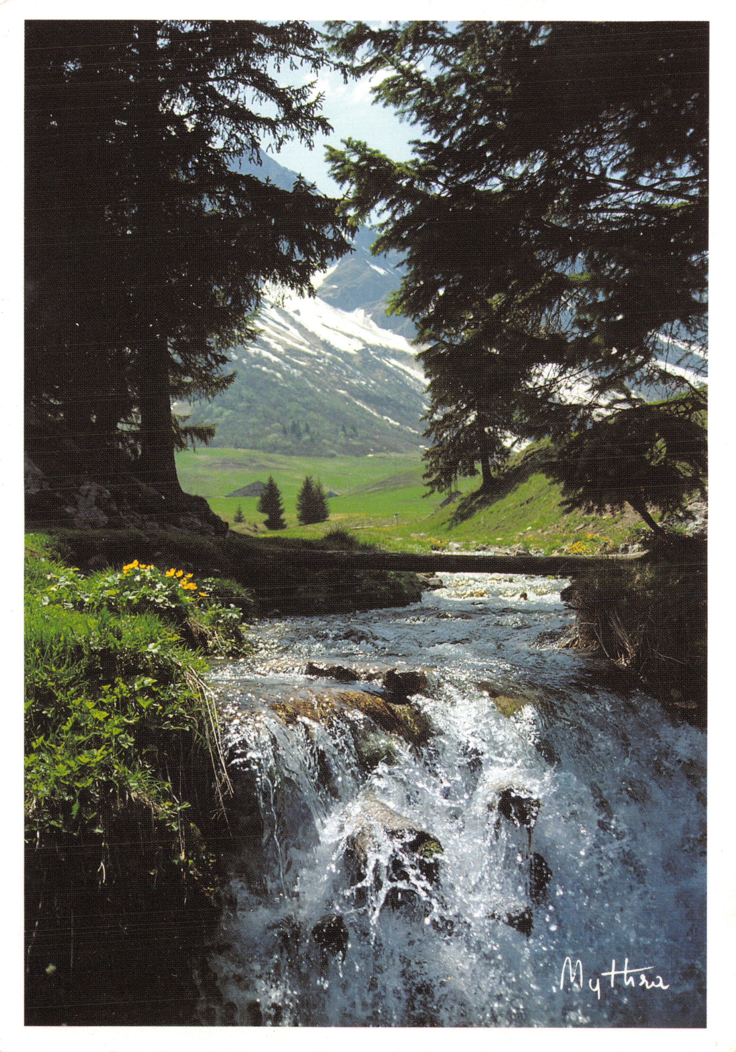 Cascade en montagne — vue alpine encadrée de sapins — éditeur Mythra, n° 940
