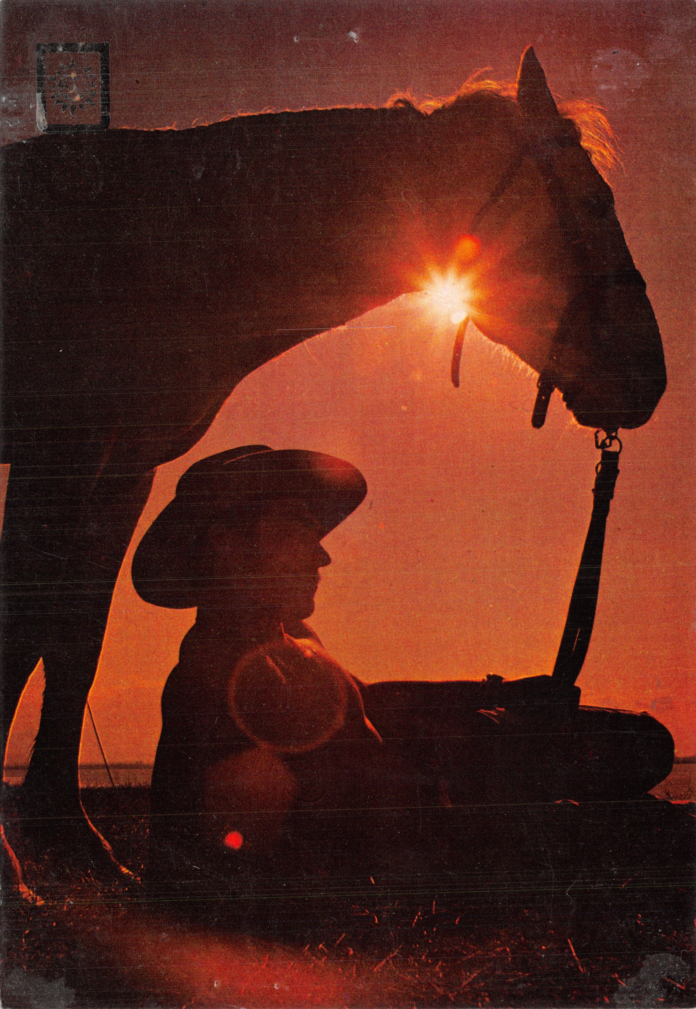 Cowboy en paard — silhouet bij zonsondergang — Edities FISA, serie 3135/4