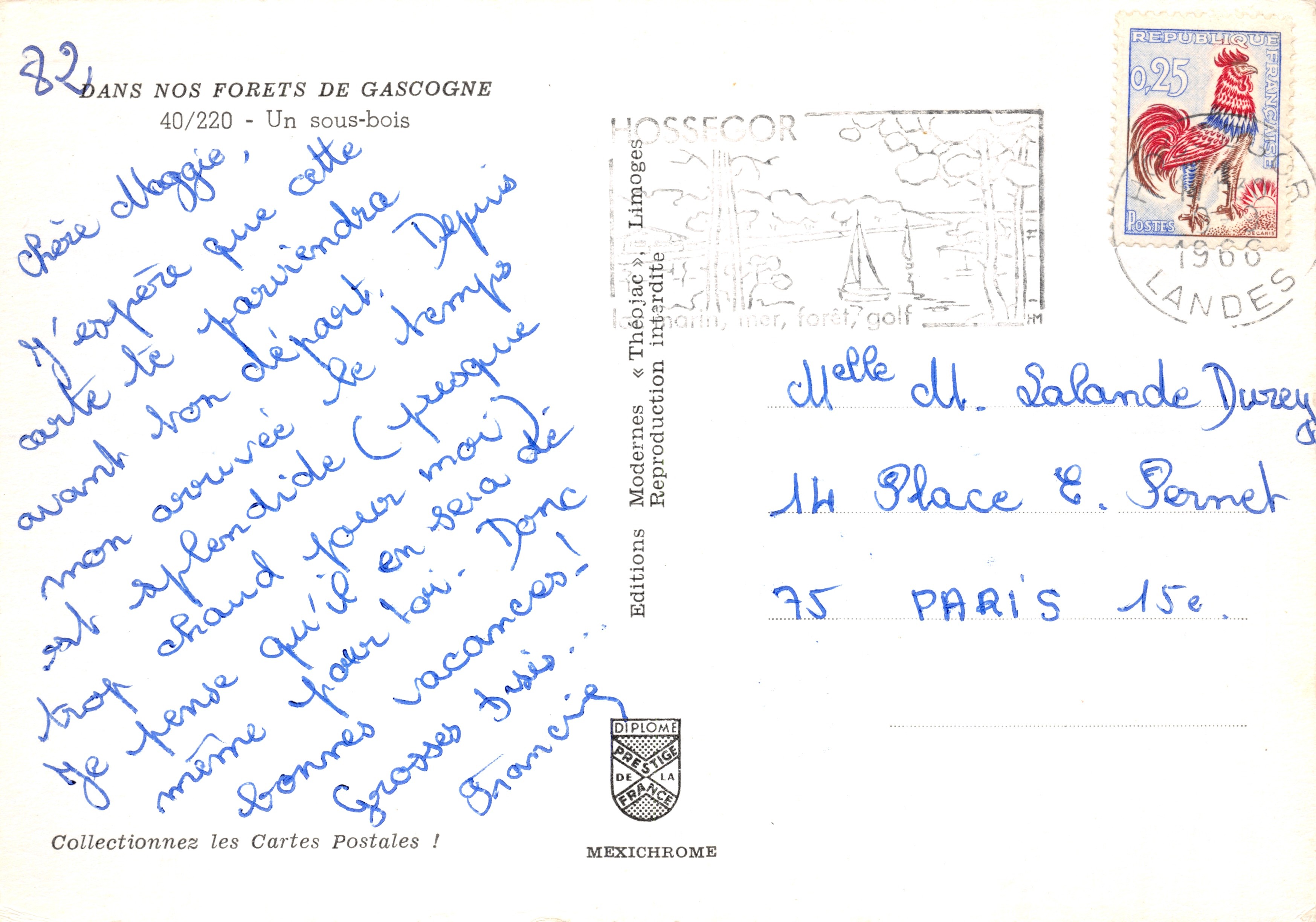Bosque de Gascogne — subbosque con helechos y enredadera roja — Editions Mexichrome, n.º 40/220 — Reverso