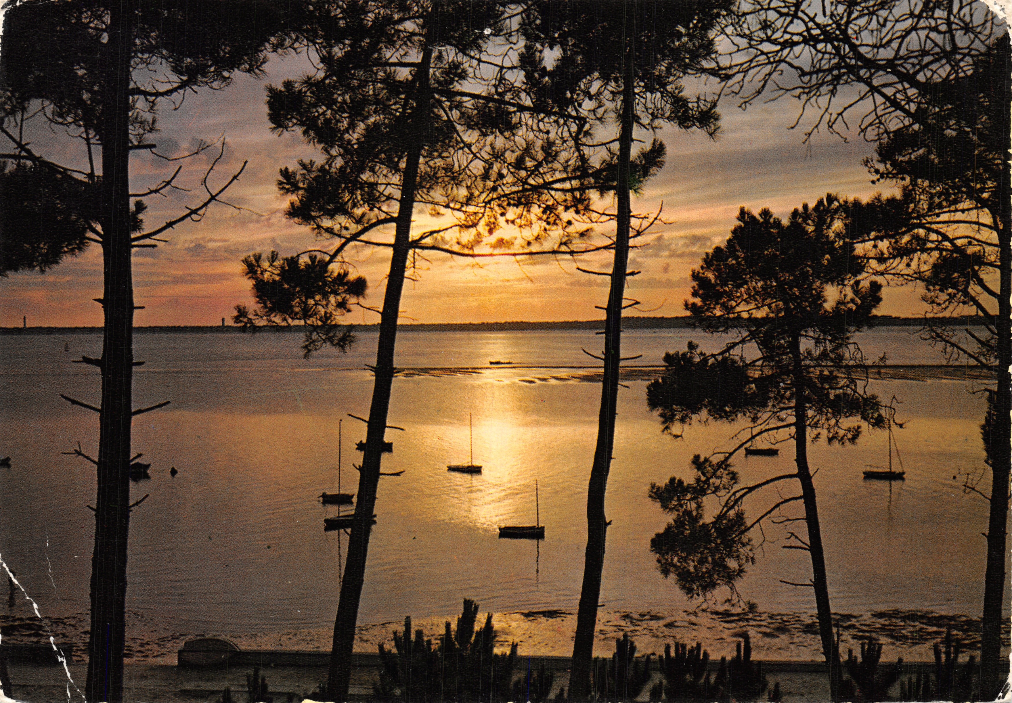Küste des Lichts — Blütenküste — Ansicht des Sonnenuntergangs am Meer, Verlag ARTAUD Père et Fils, Nantes, Nr. 13