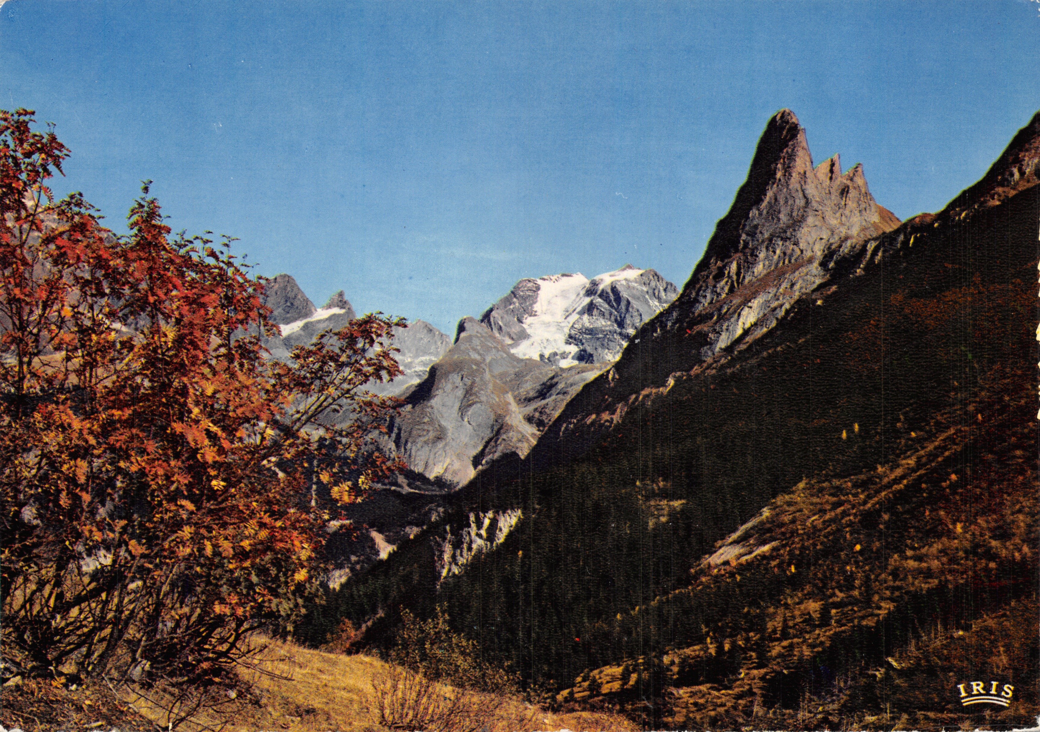 Nationale Park van La Vanoise - La Grande Casse en le Grand Marchet — uitgever IRIS, nr. 1613