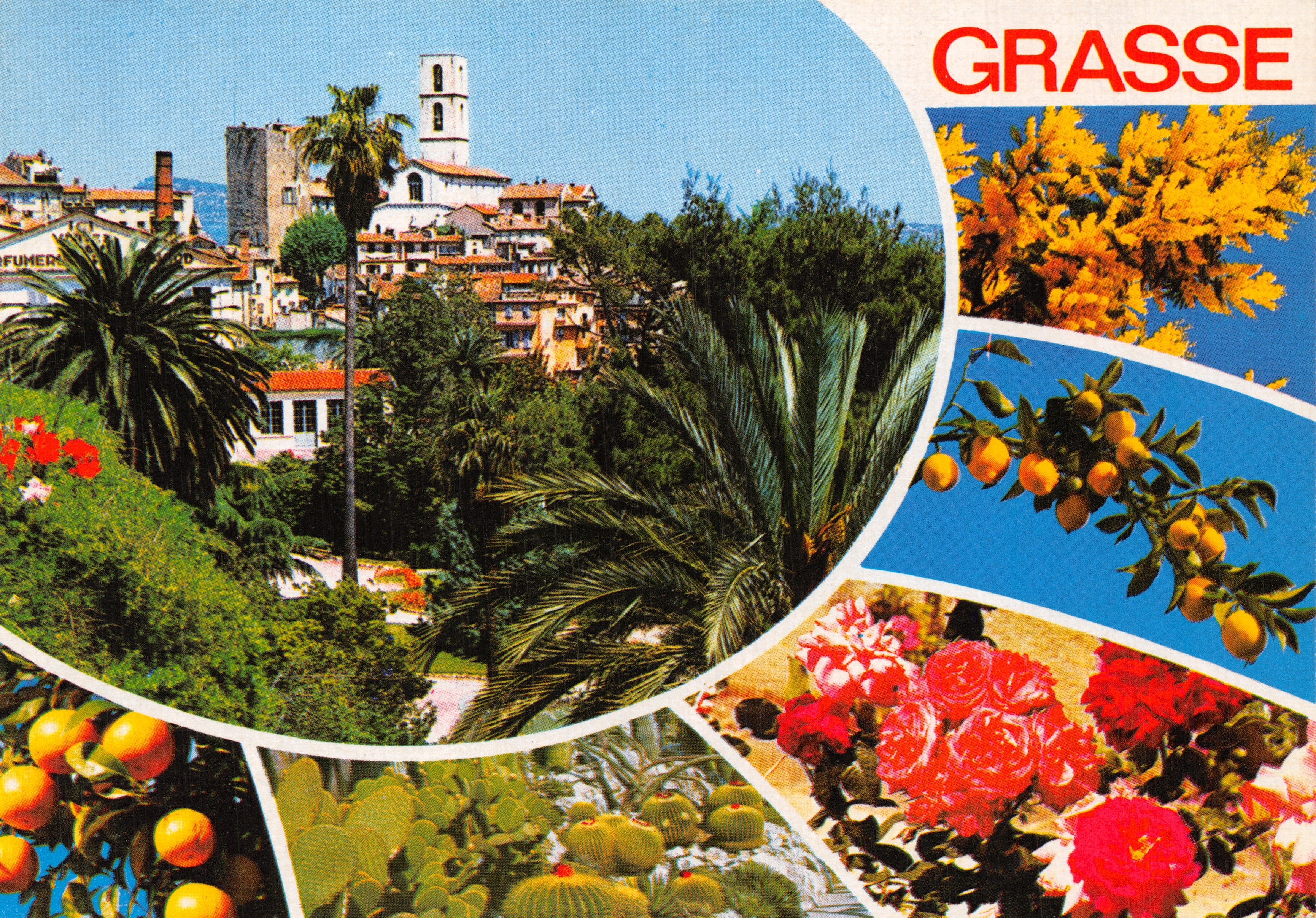 Grasse — vista panoramica con edificio religioso e giardini — Les Editions Gilletta, G 30