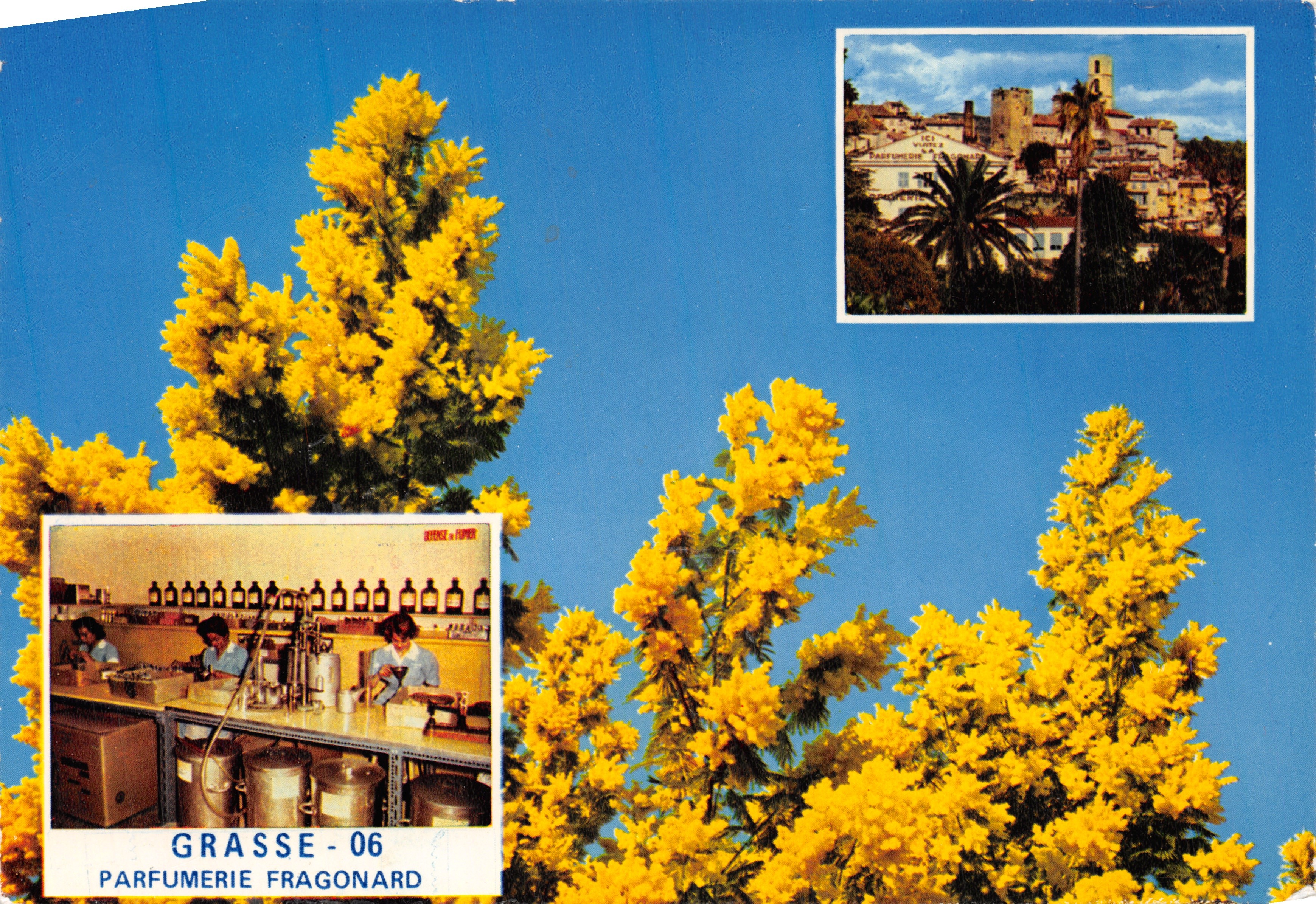 Grasse - 06 — Profumeria Fragonard, vista delle fabbriche e del paese — editore STAMPATO SULLA CARTOLINA