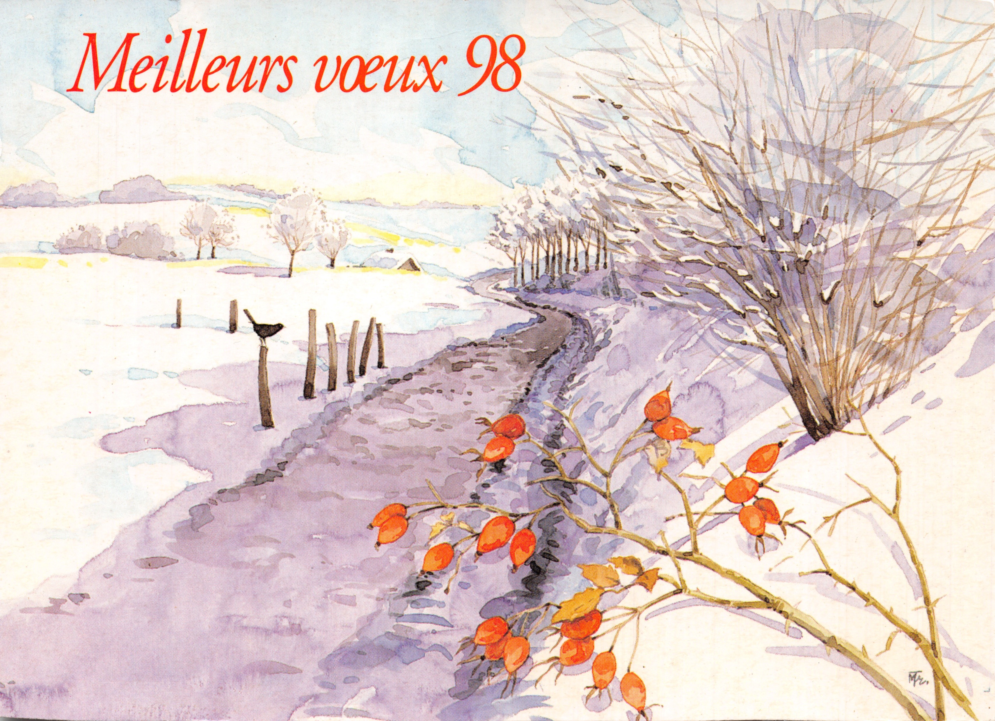Paysage hivernal — chemin enneigé avec rosiers sauvages — illustration de Michèle Trumel pour Avantages