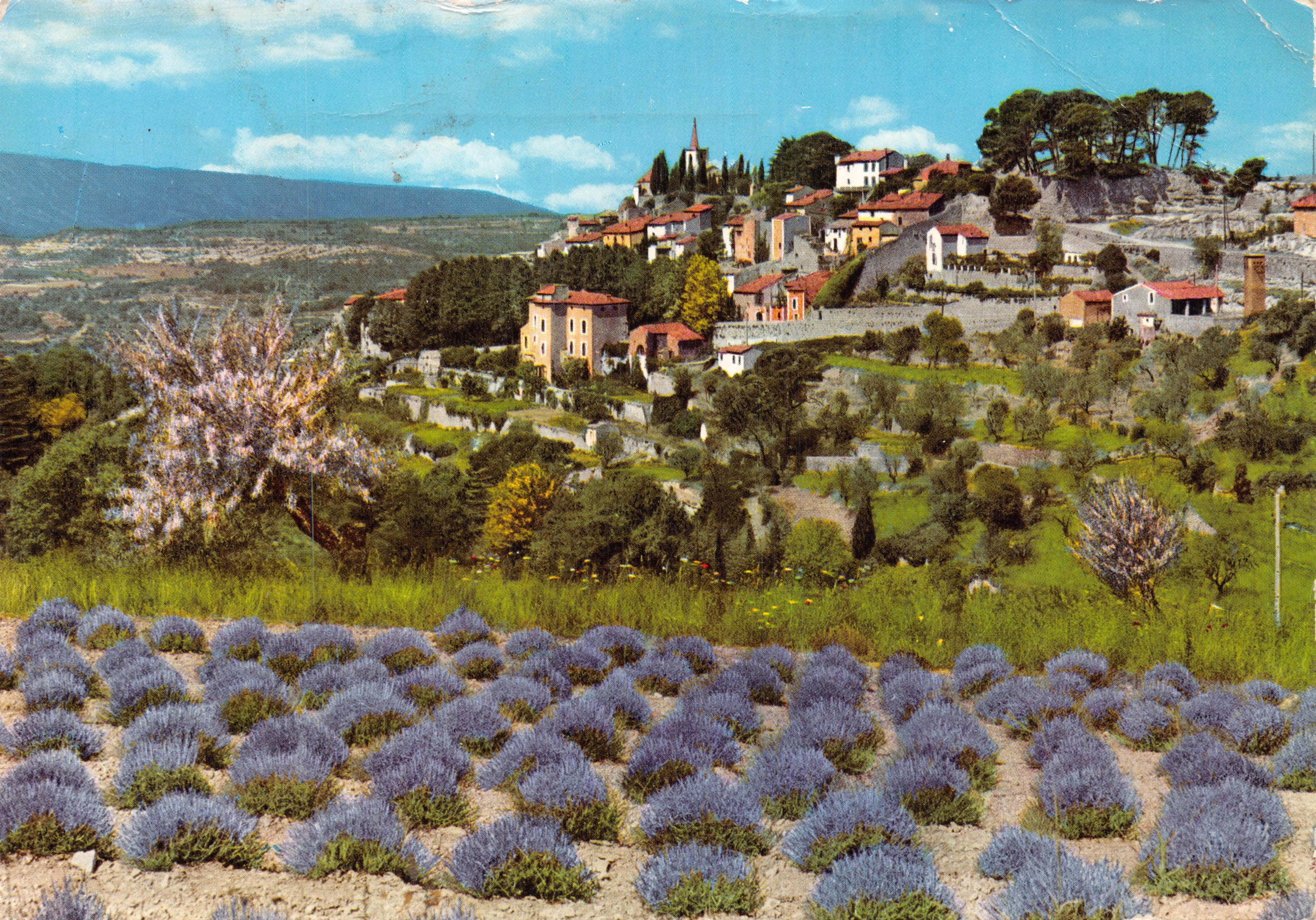 Provence — Vieux village et champ de lavande — Éditions S.E.P.T. Imprimé sur la carte