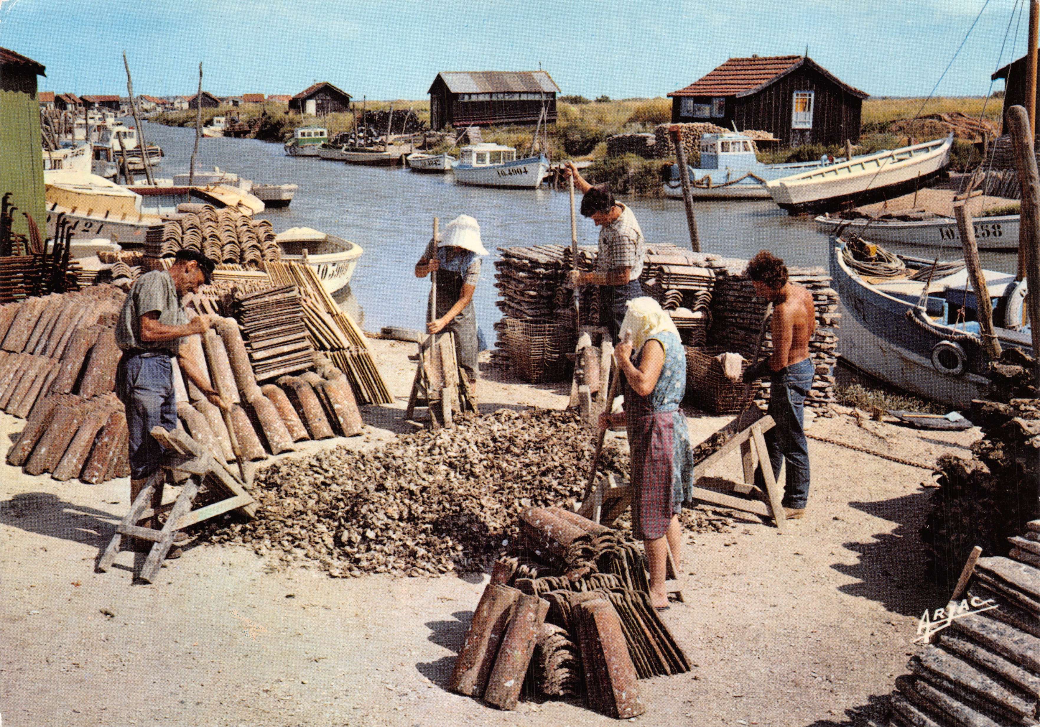 Détroquage des huîtres — Bassin ostréicole de Marennnes — Éditions ARJAC