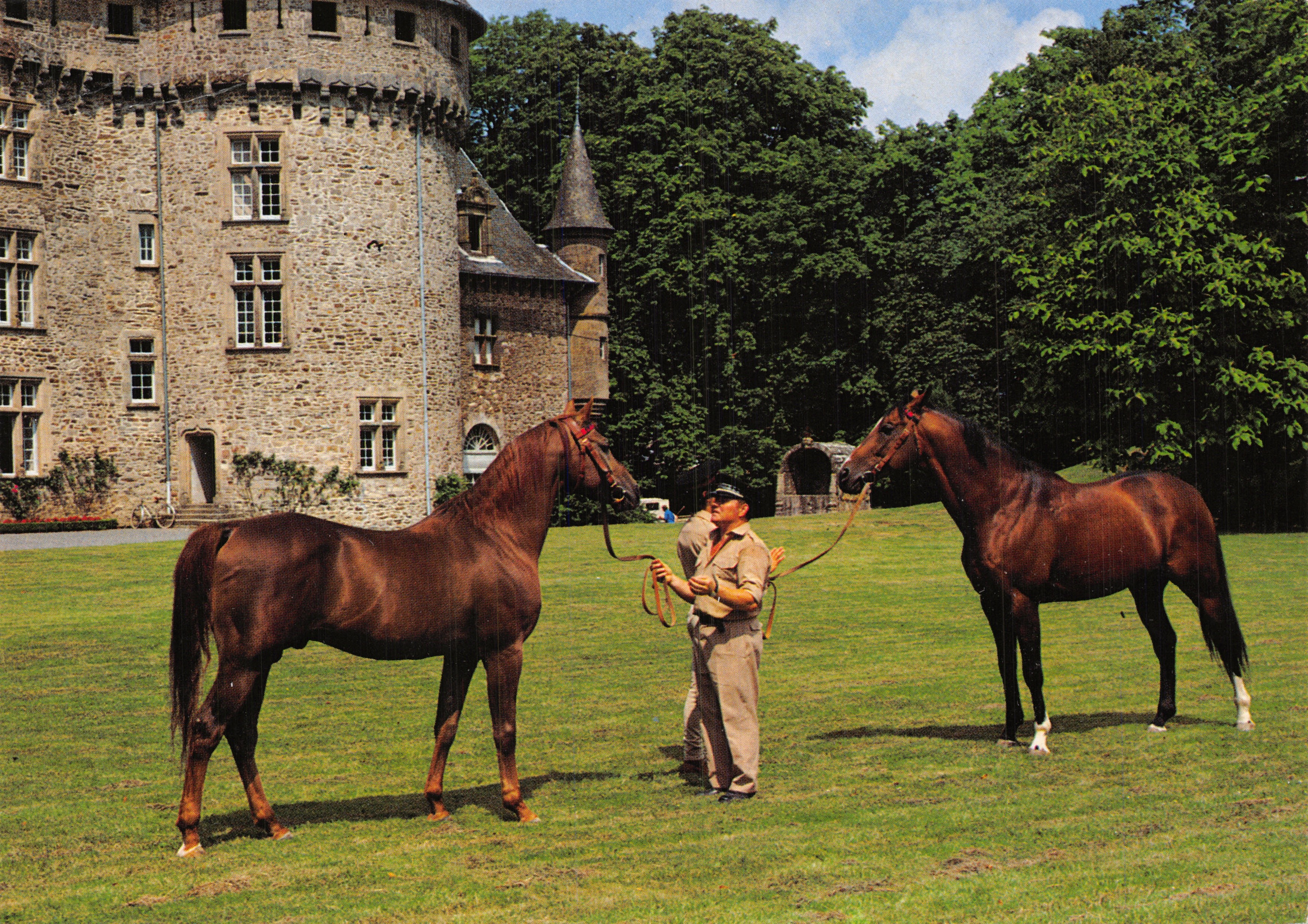 Étalons du Haras de Pompadour — Château de style médiéval en arrière-plan — Pierre ARTAUD & Cie, les Éditions du Gabier, n°30