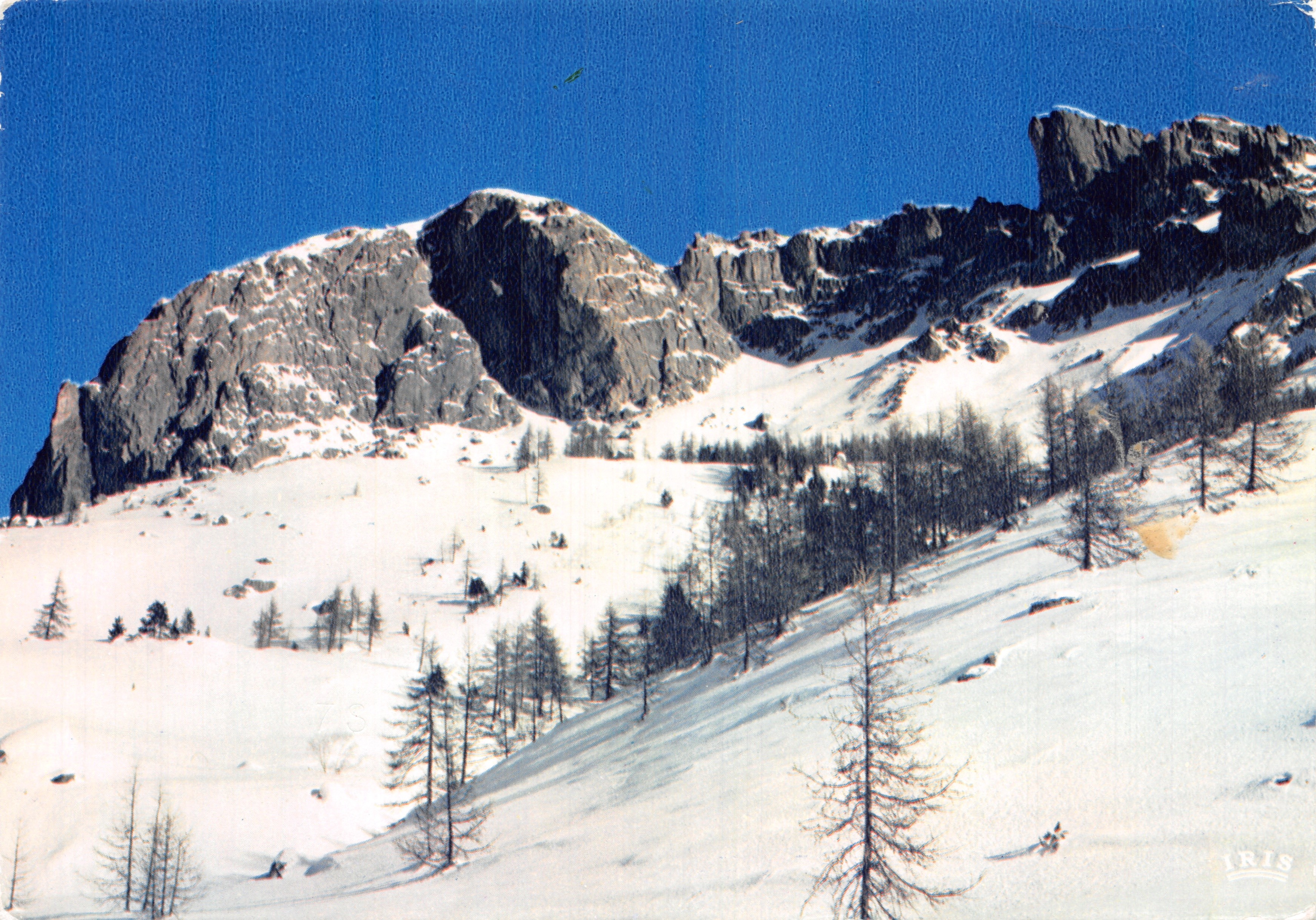 Vue d'un paysage enneigé — montagne rocheuse et forêt de pins — éditeur IRIS