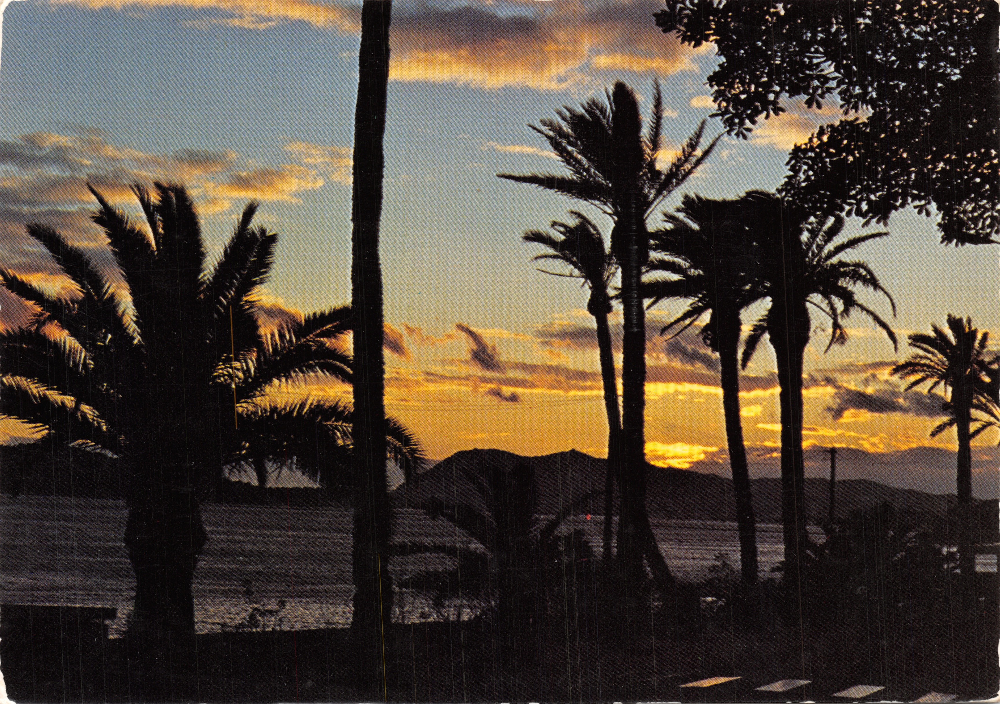 Côte d'Azur — sunset over the sea with palm trees — Éditions GAI SOLEIL