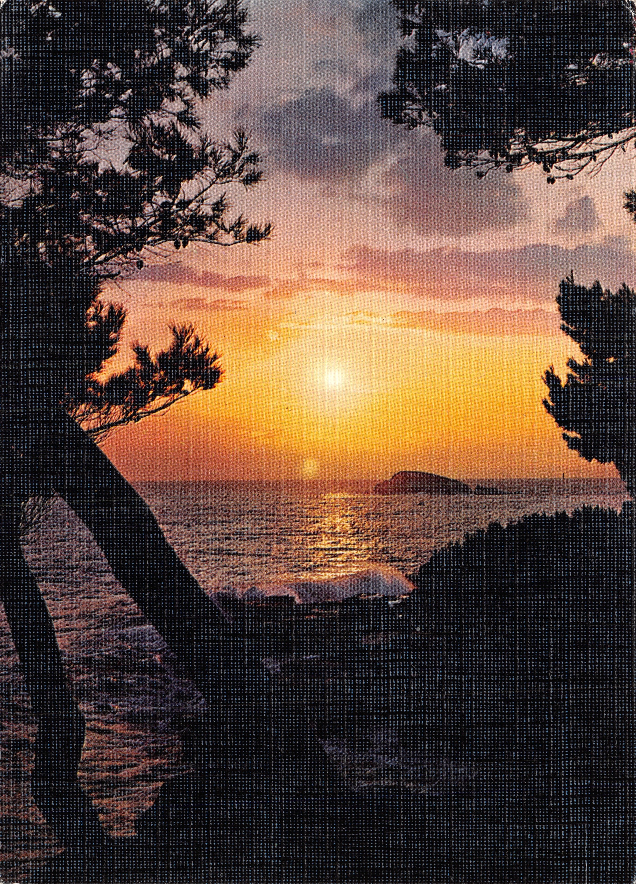 Coucher de soleil en Méditerranée — vue encadrée par des branches d'arbres — Les Editions Chromé, n° 02