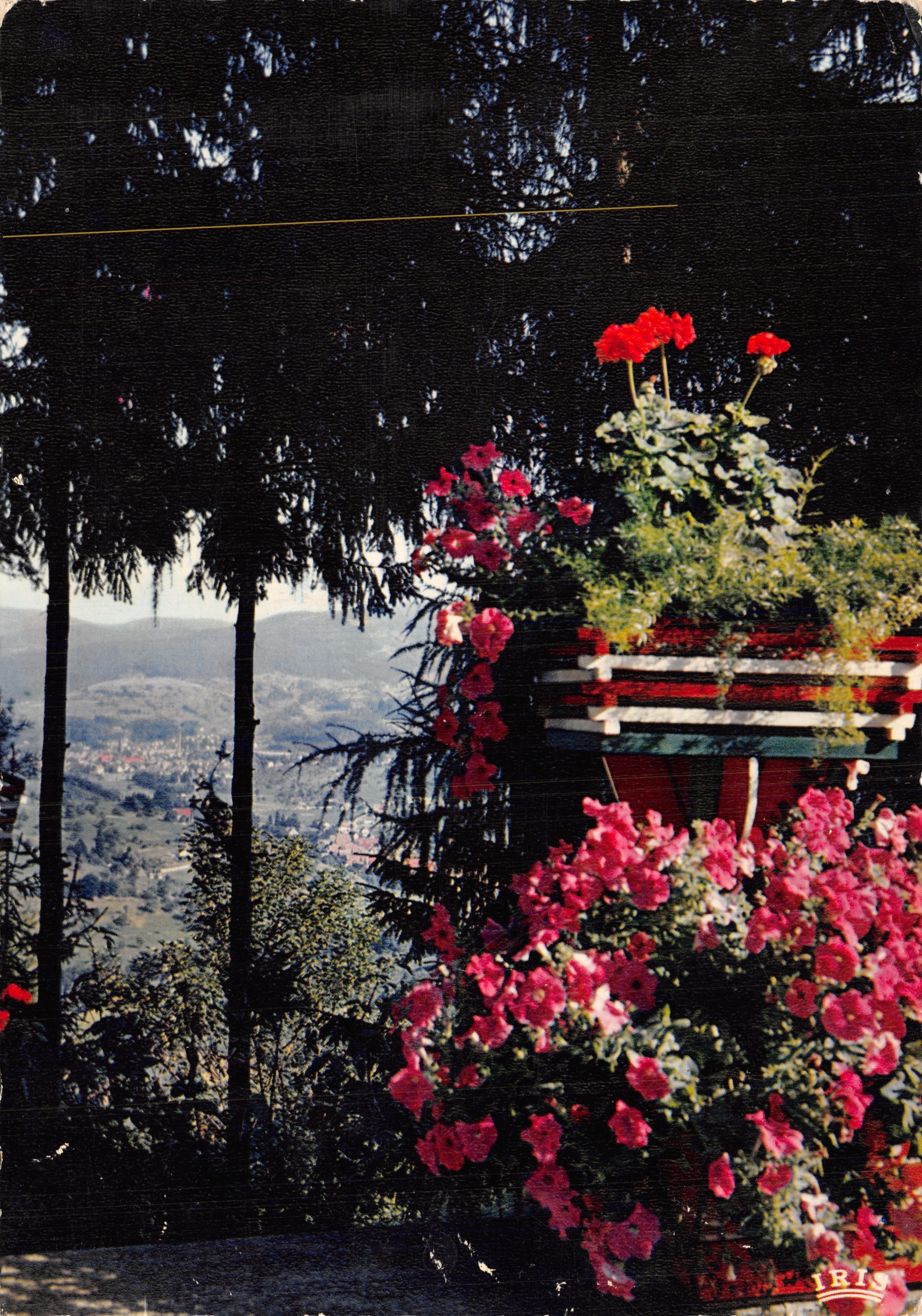 Vue panoramique — depuis la terrasse de l'Hôtel-Restaurant "Belle-Vue" à Scoulteren (Haut-Rhin) — éditeur IRIS