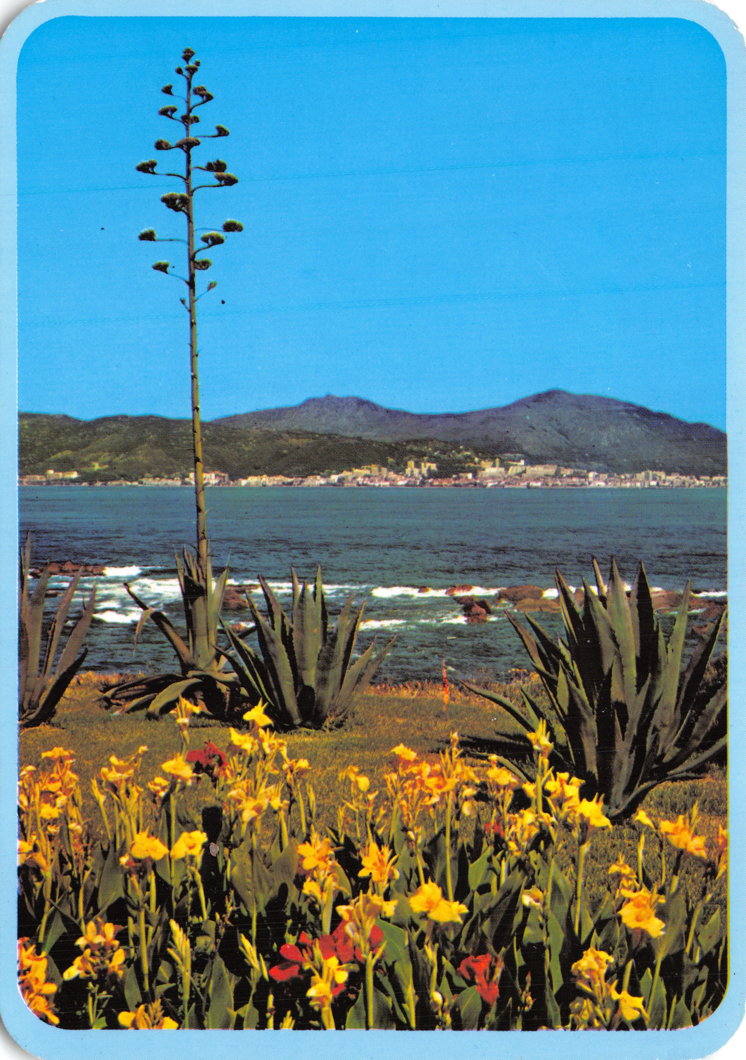 Baai van Porticcio — kustlandschap met agave en bloemen — Uitgever CIGOGNE, serie-nummer (O) Éditions de Larrieu
