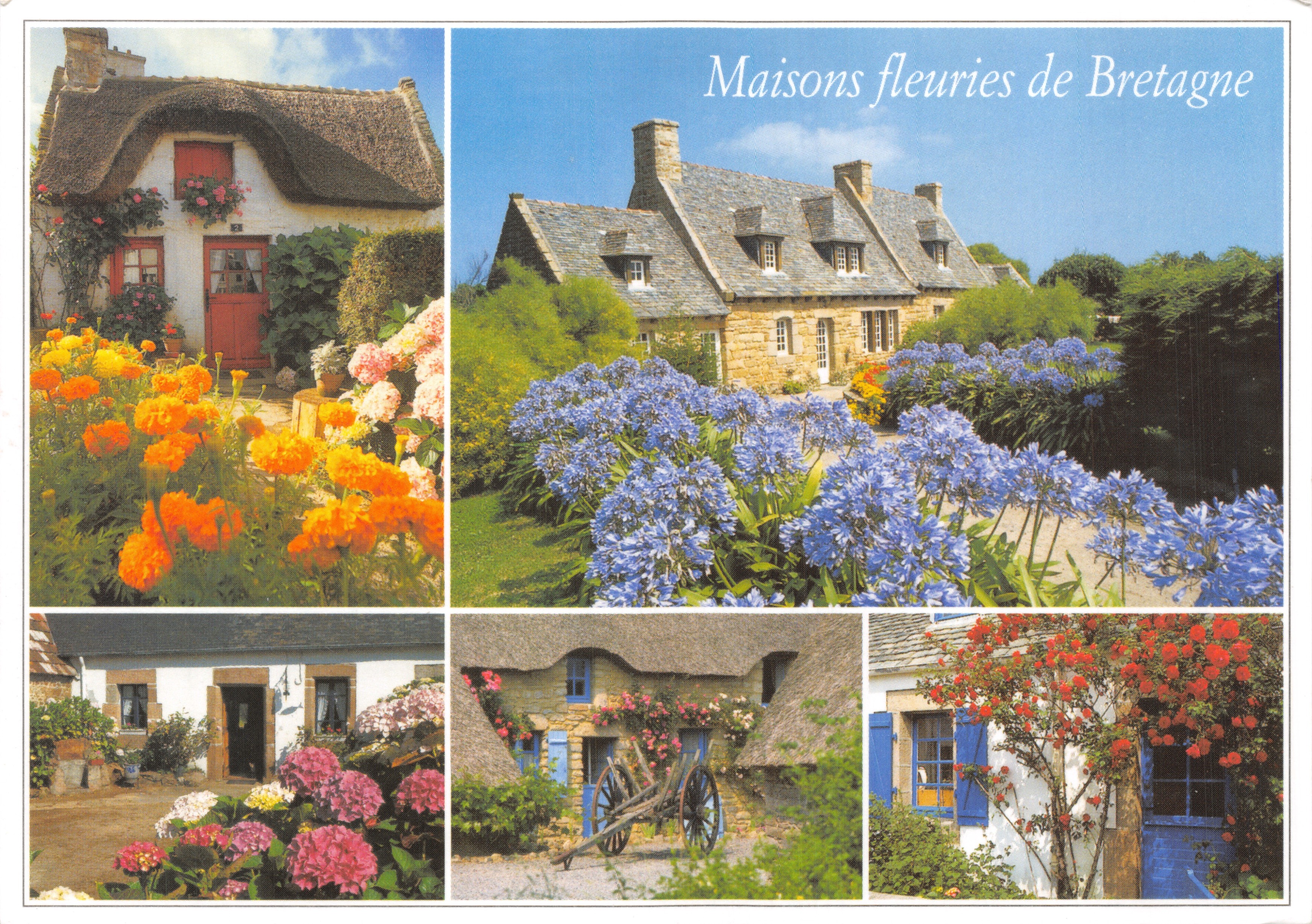 Maisons fleuries de Bretagne — collage van traditionele huizen met kleurrijke bloemen — Éditions d'Art