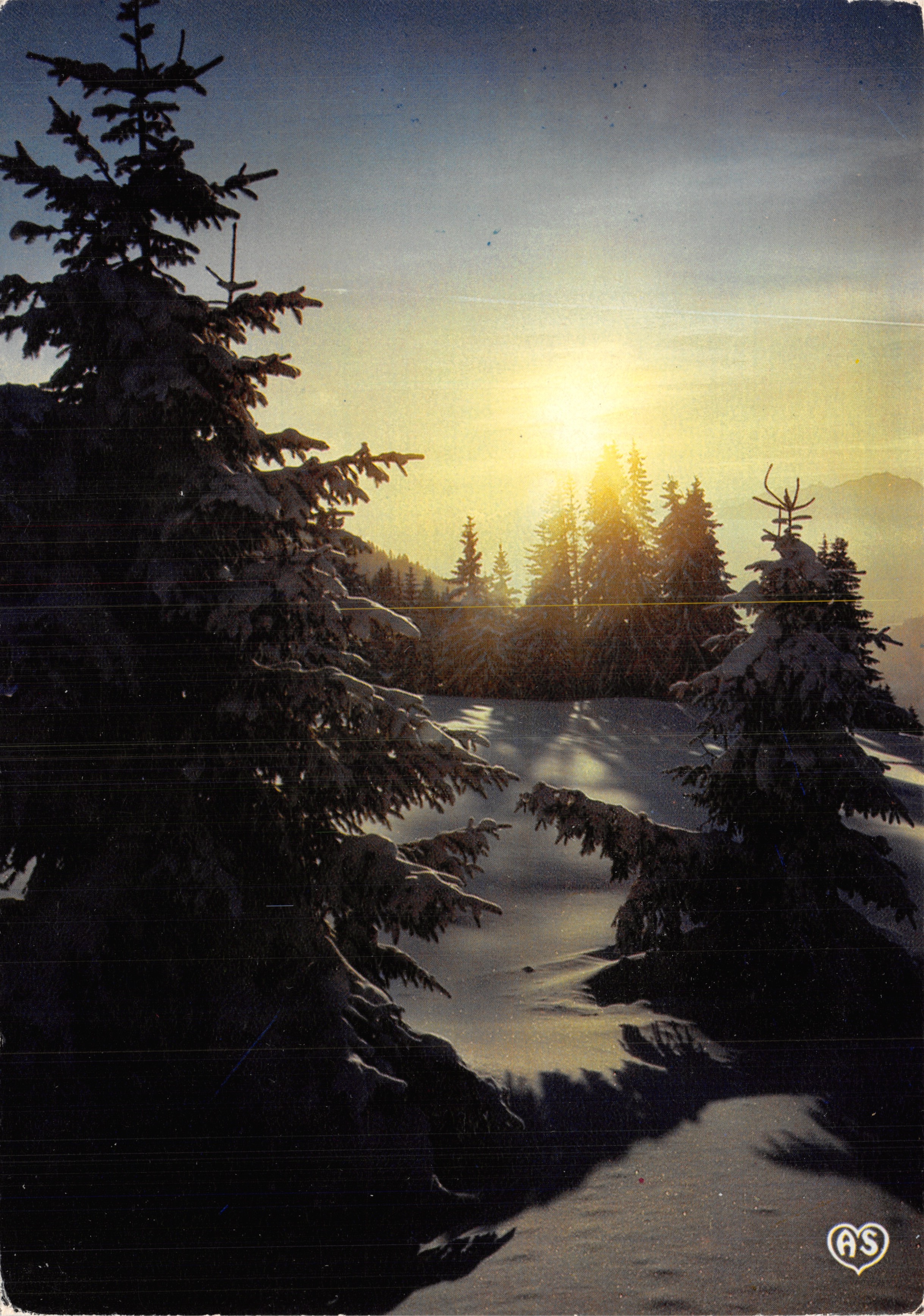 Montagne in inverno — Ultimo raggio di sole sulla neve e sugli abeti — editore Couleurs Naturelles, n. 5072