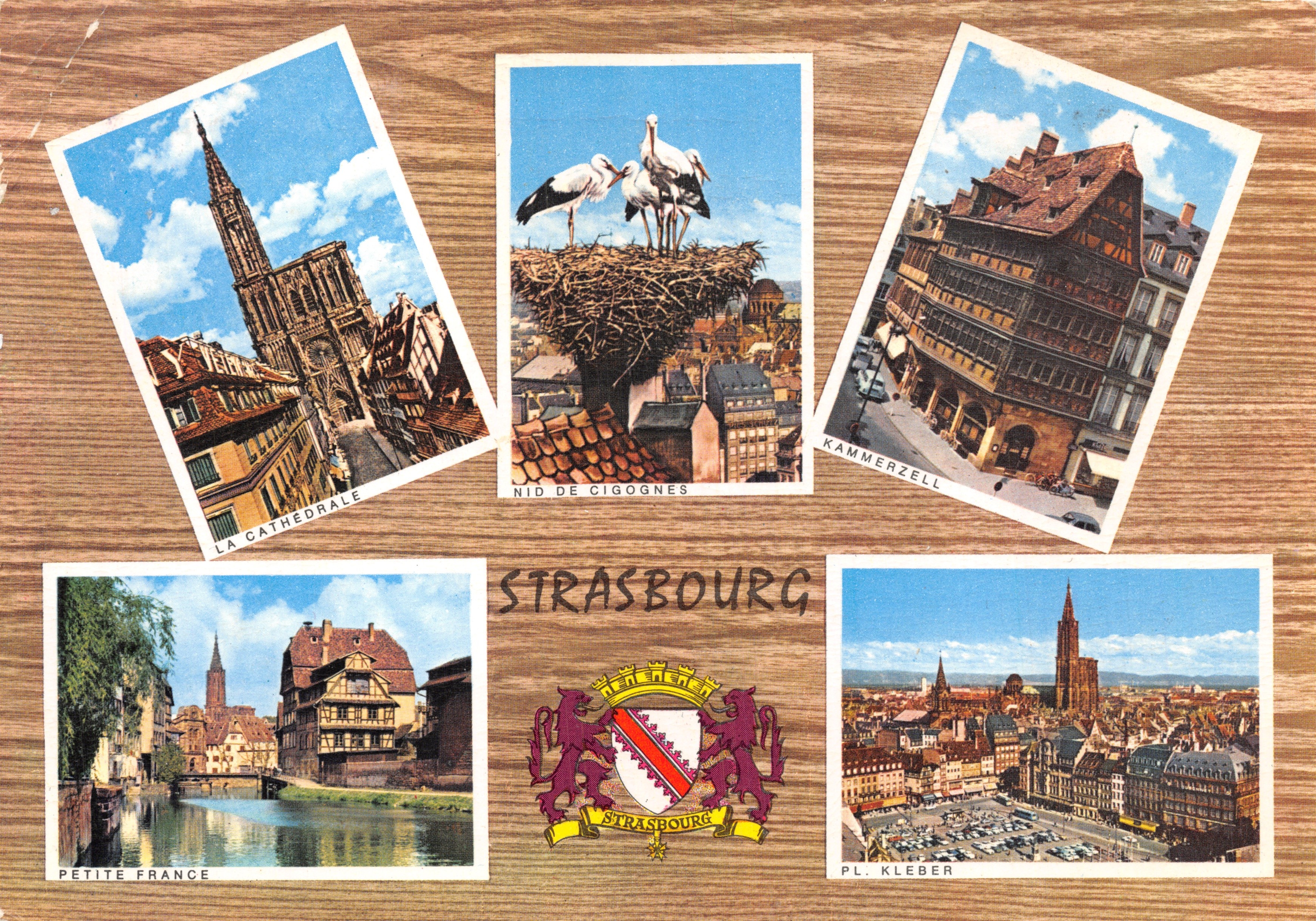 Strasbourg — La Cathédrale, Nid de cigognes, Kammerzell, Petite France, Pl. Kleber — éditeur STRASBOURG