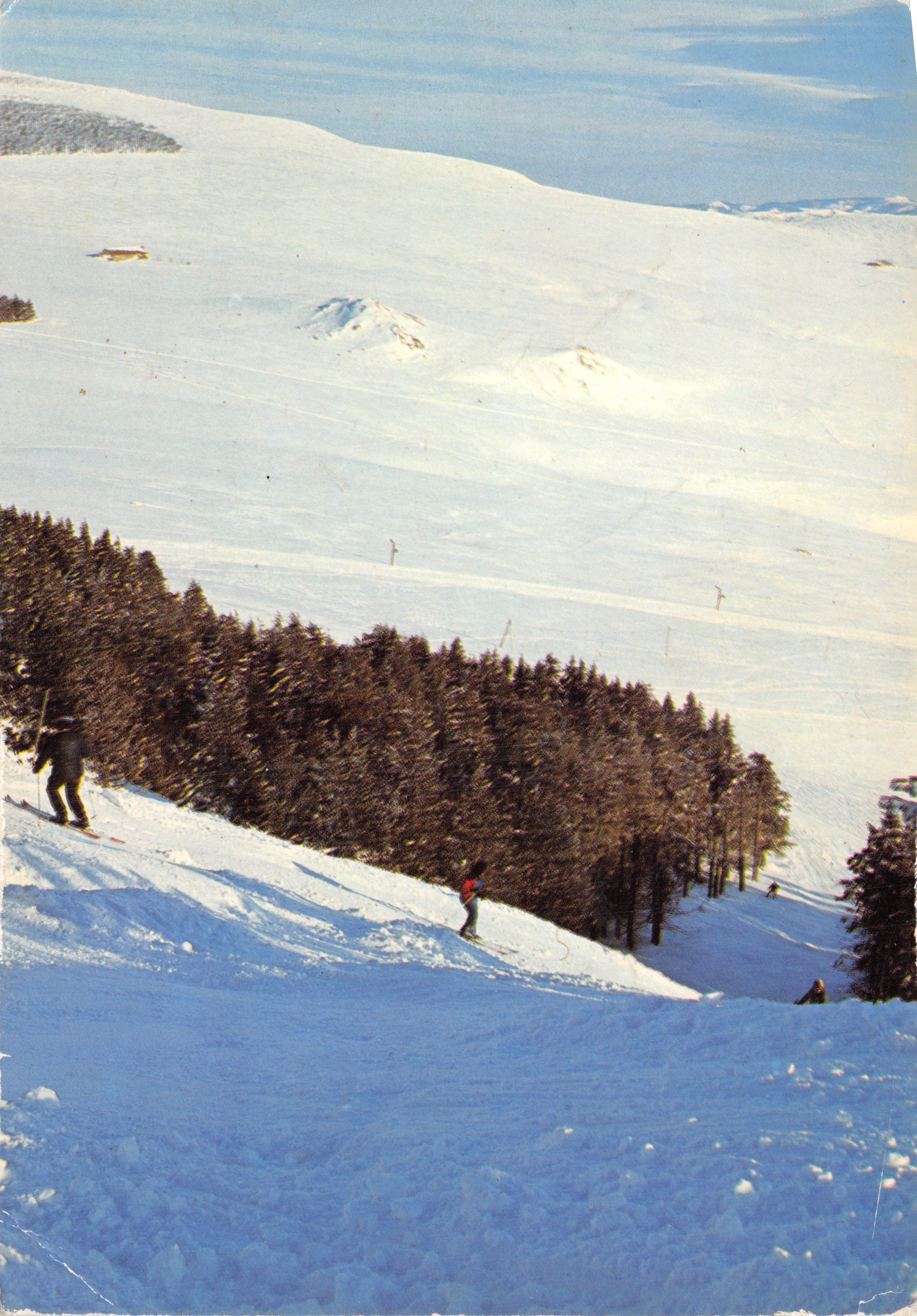 Skiing on the plateau of the massif central — snowy panoramic view with skiers and forest — Éditions L. ROCHER - LE PUY