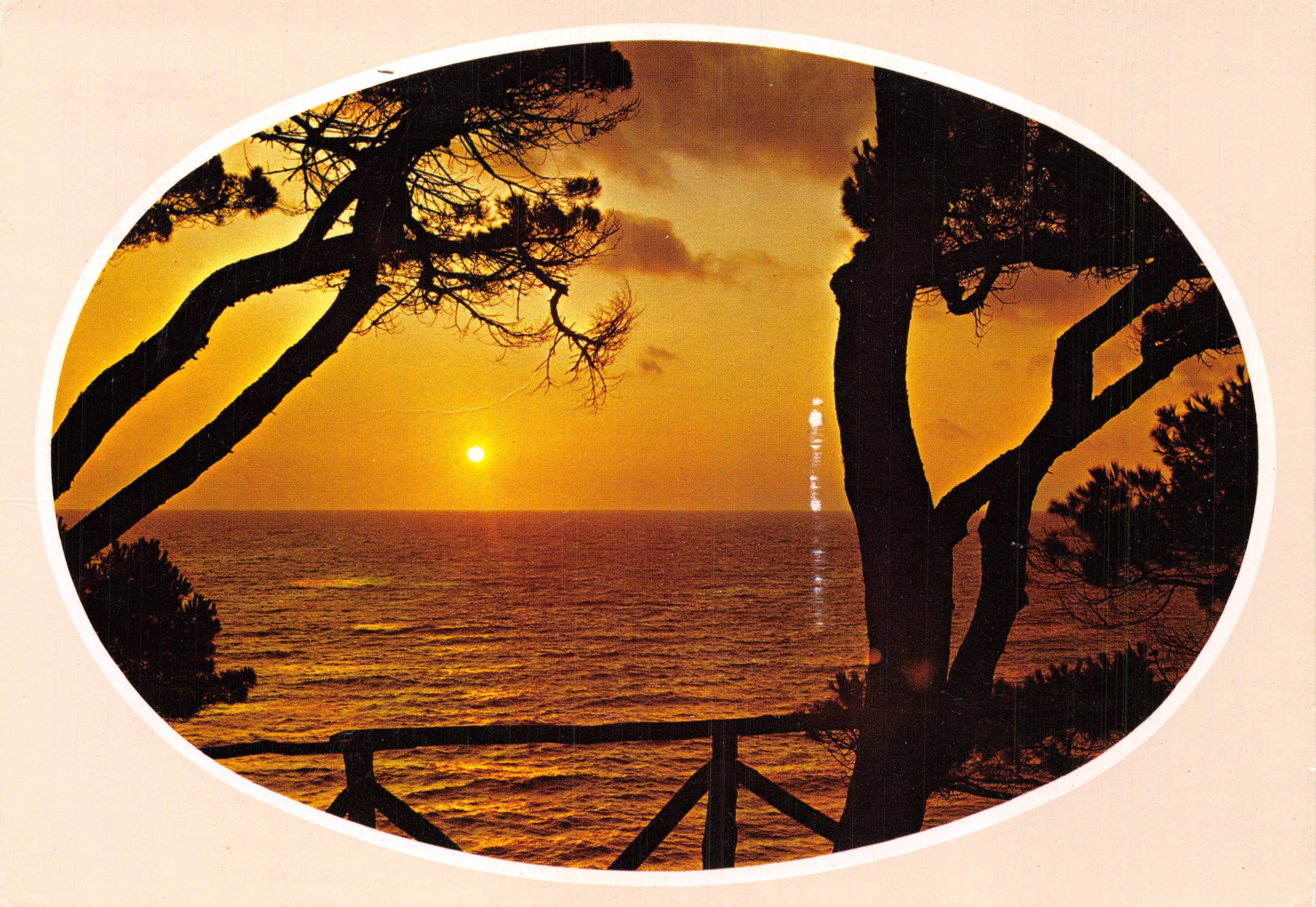 Puesta de sol — vista del mar enmarcada por pinos — Éditions Dino de Trâi, n° 10090