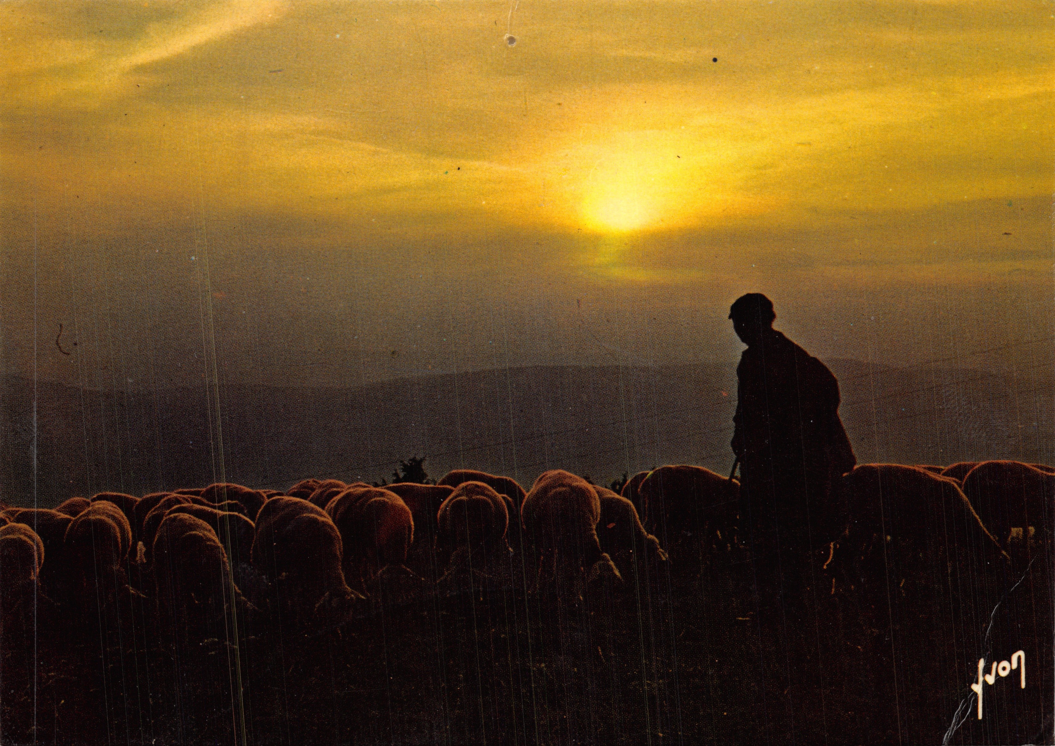 Crepuscolo sul gregge — scena pastorale al tramonto — editore Yvon, n. 10/8693