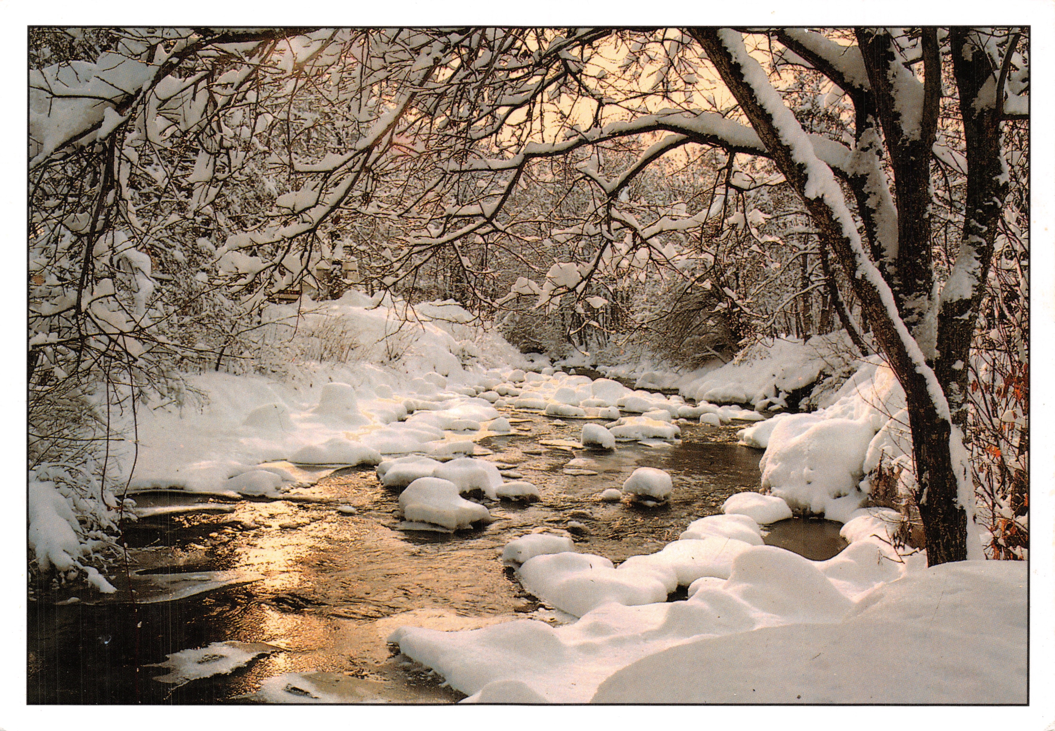 Paysage hivernal — rivière enneigée sous arbres — Éditions REVALP - ALBERTVILLE