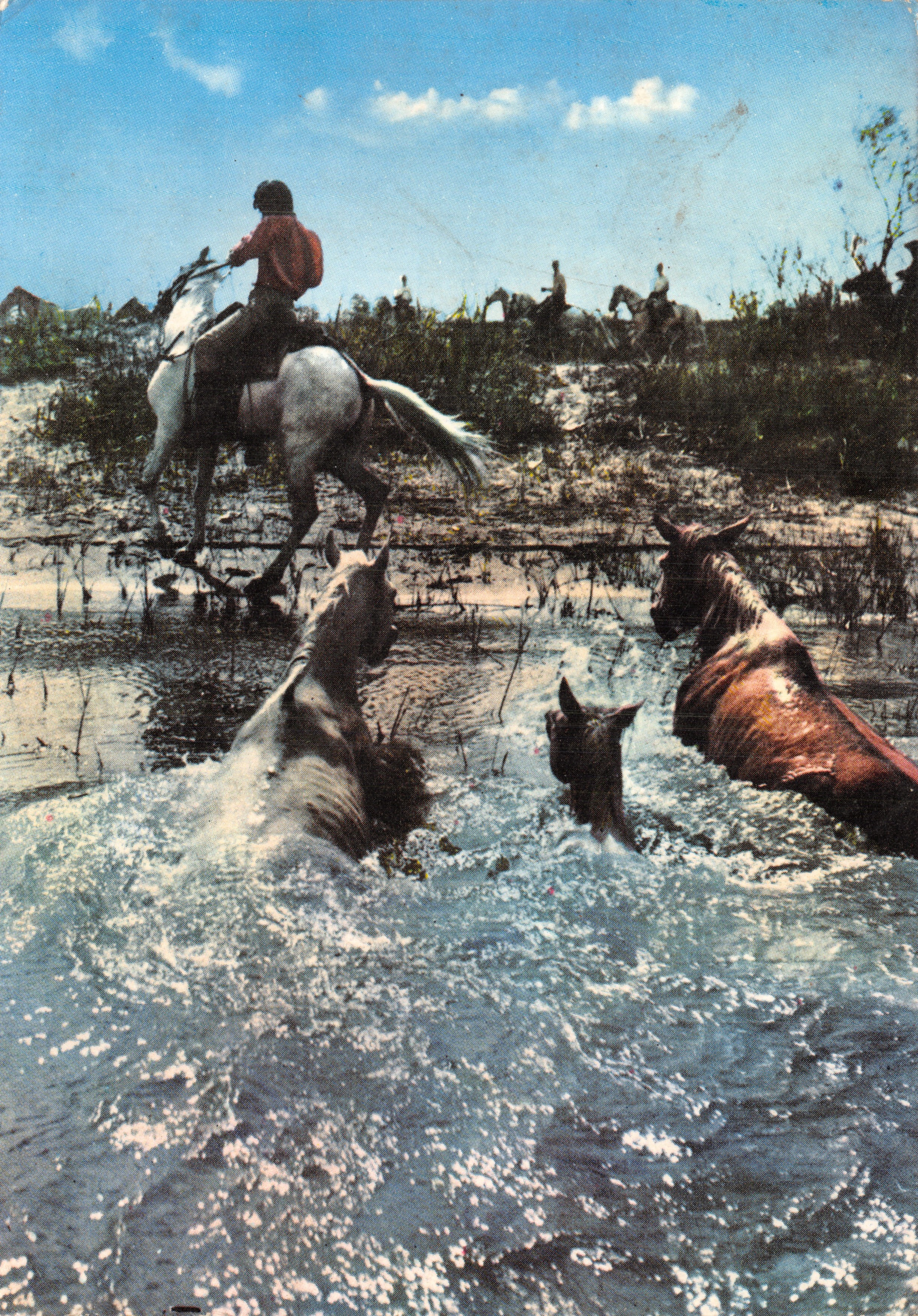 La Camargue — Cruce de un gué — Les Éditions « MAH »