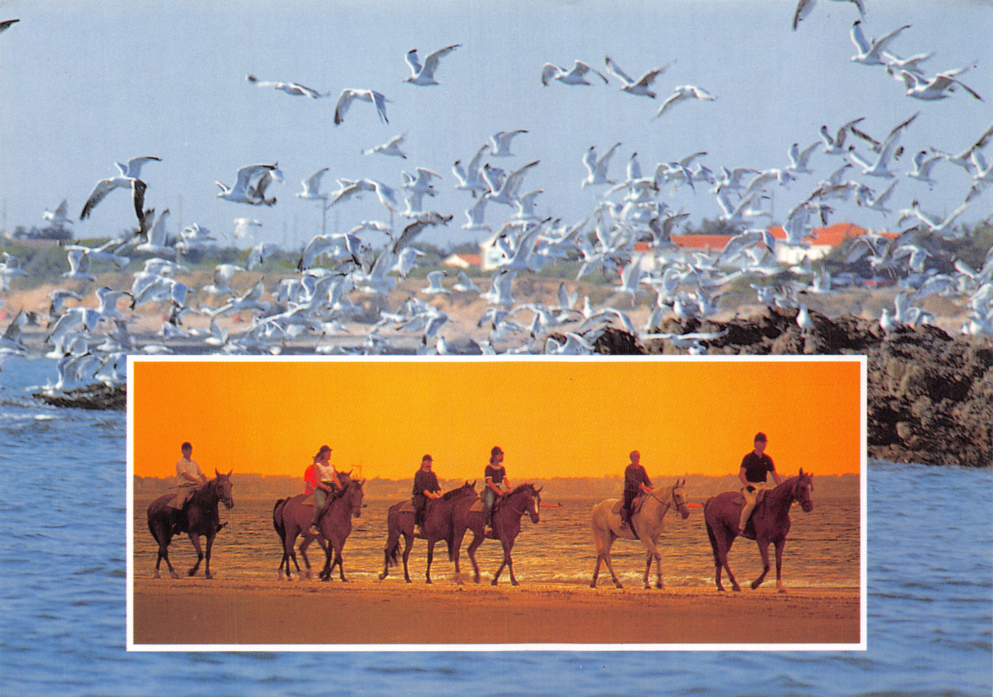 Reiter an der Küste — Sonnenuntergangsszene — Verlag PZ 514
