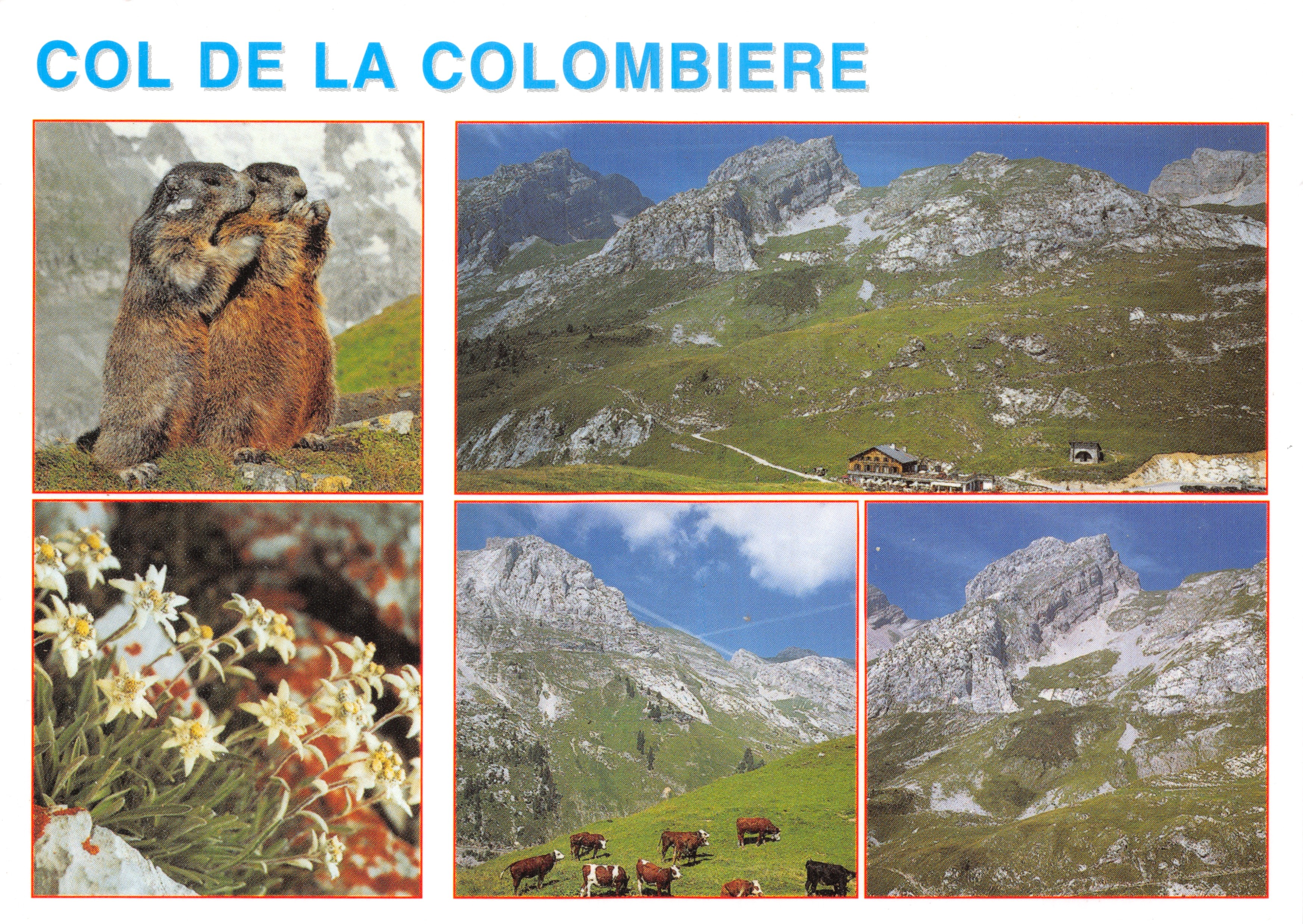 Col de la Colombière — vista panoramica e animali alpini — Editions Cliché et réalisations Grenoble