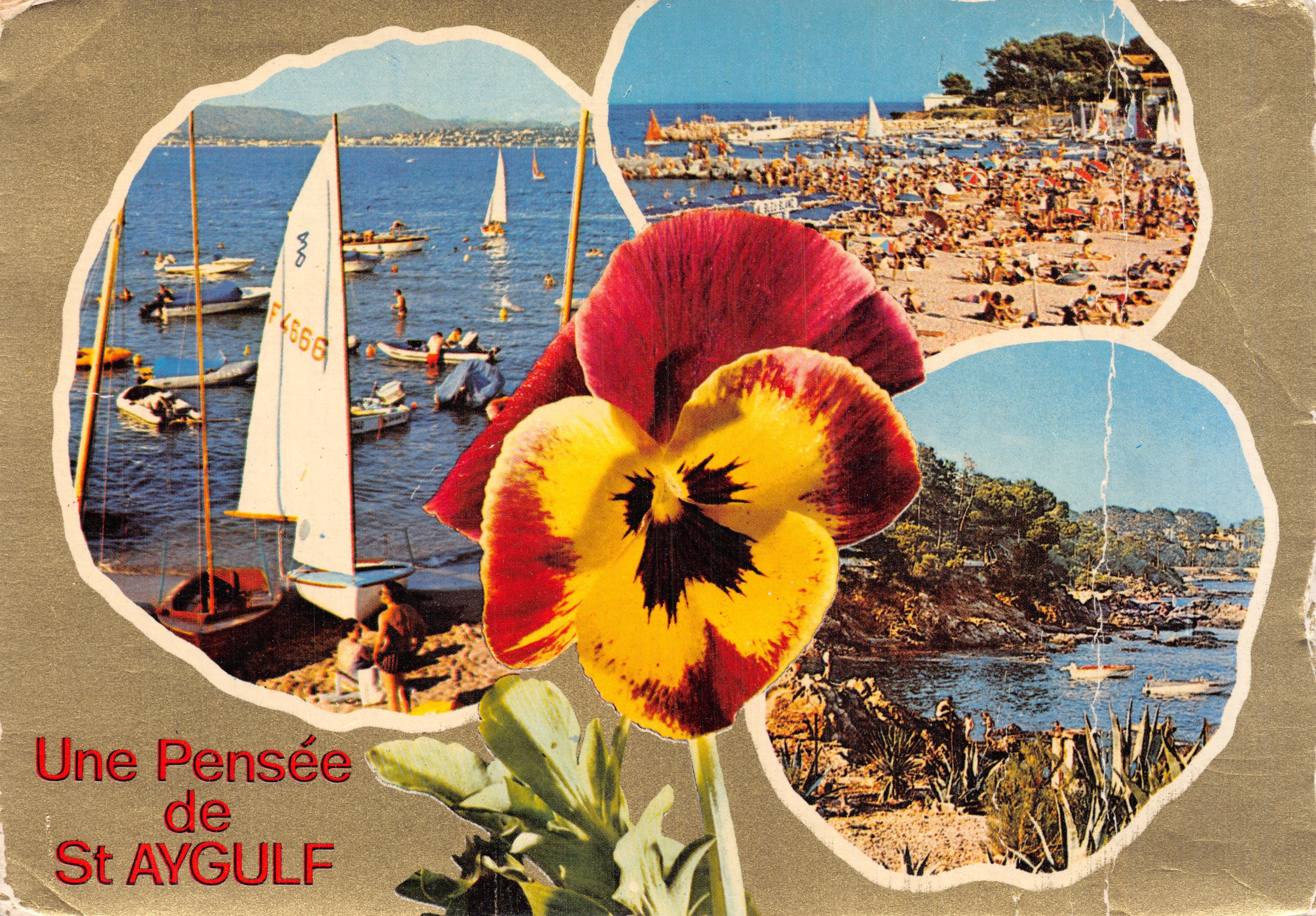 Saint-Aygulf — uitzicht op de strand en de haven met een zonnebloem in de voorgrond — Editions S.E.P.T. - 63/146