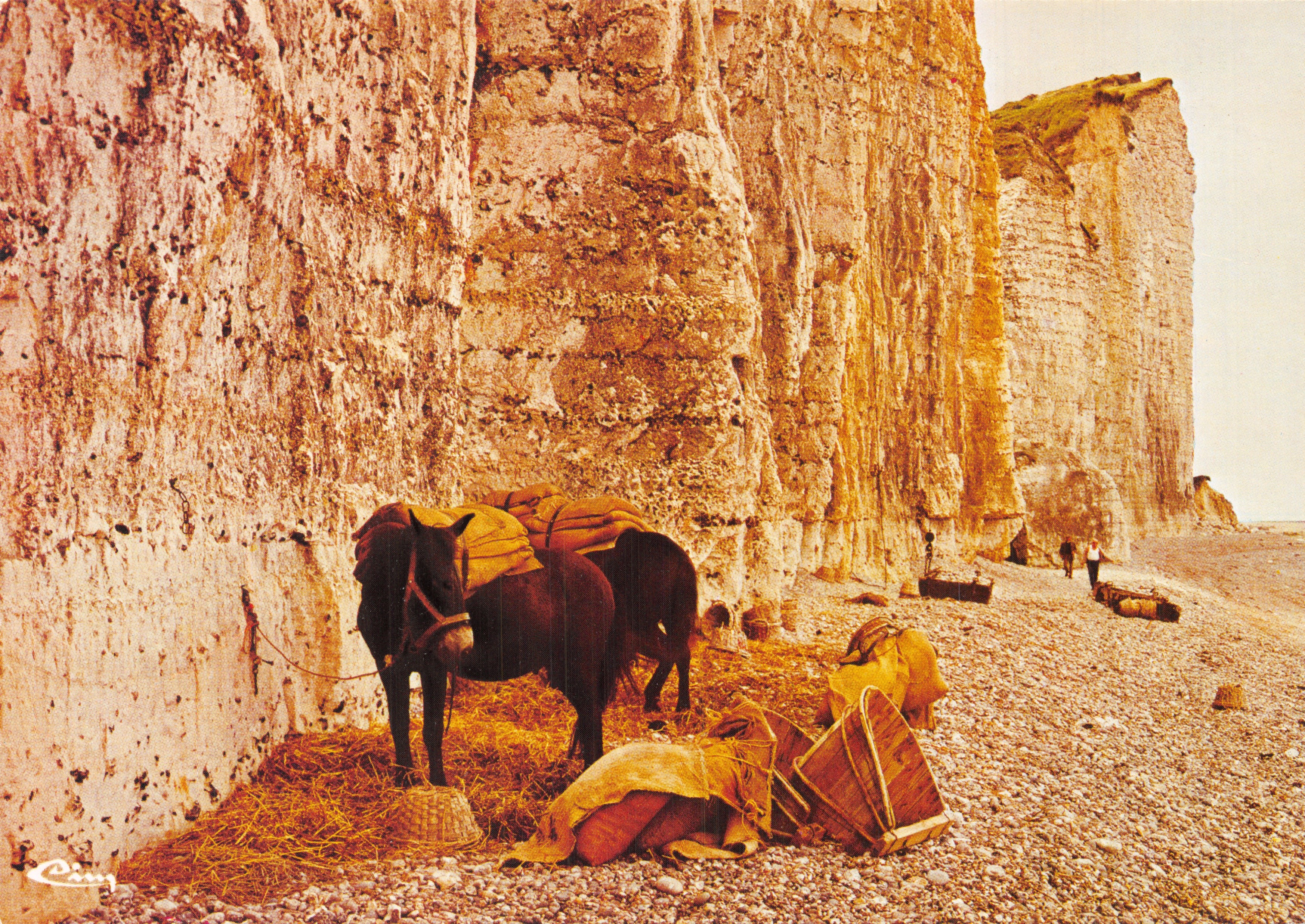 Cliffs of Etretat — chevaux et ballots sur la plage — Cim