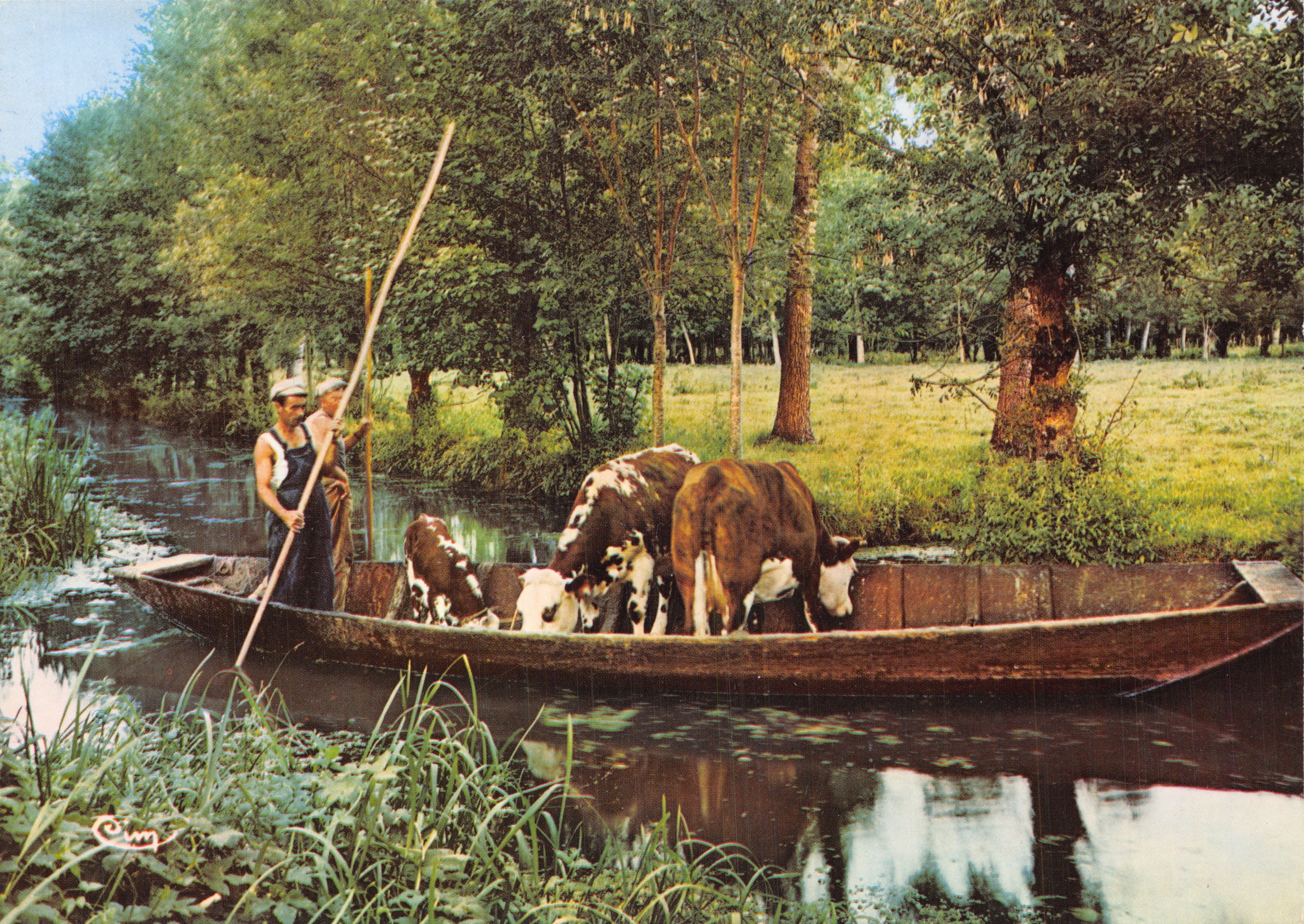 Transporte de ganado en una concha — escena del Marais Poitevin — editor Cim, n.º C3 33998-1-0008