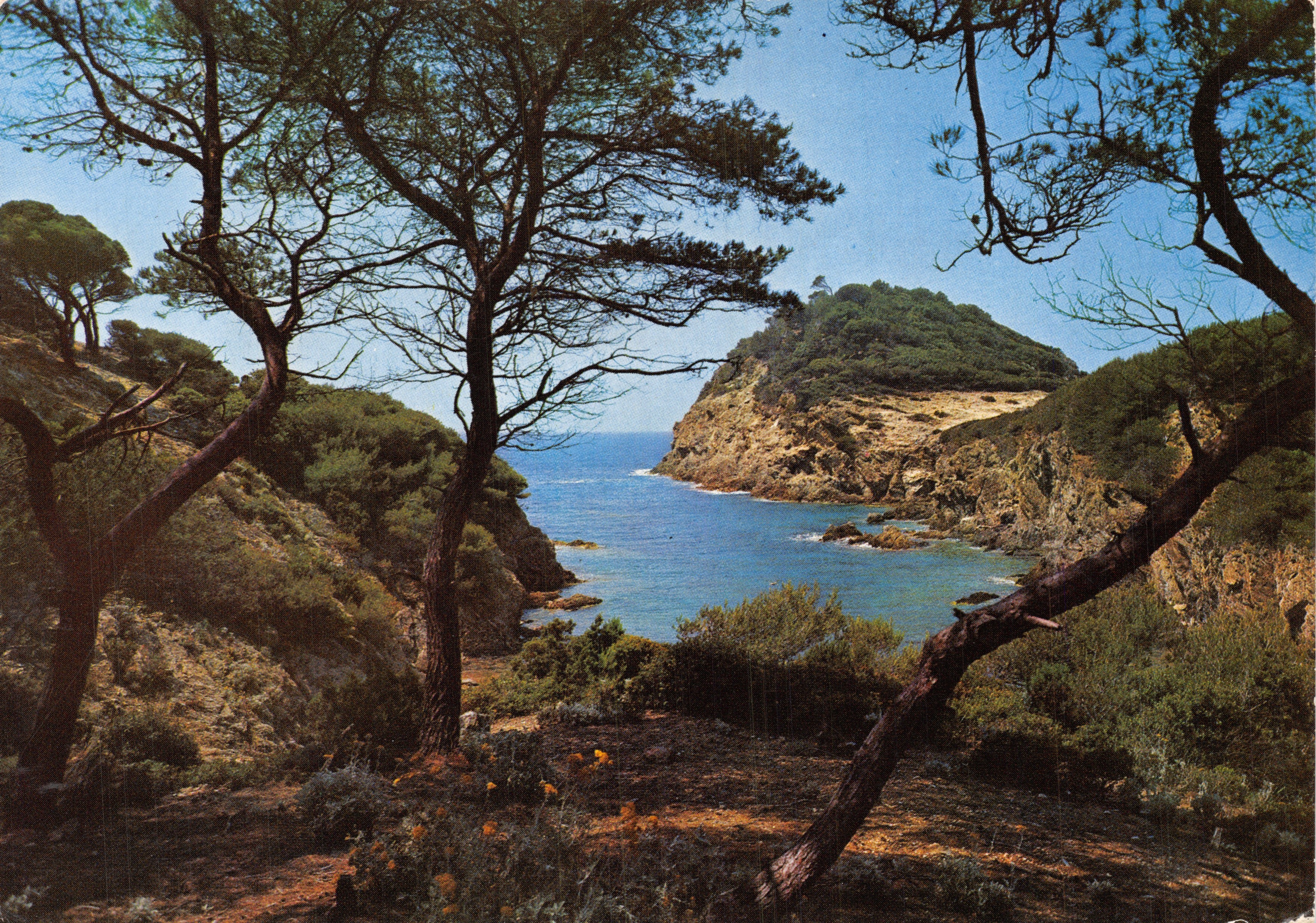 Calanque con riflessi dorati — vista dai pini — Editions de France, n° 7258