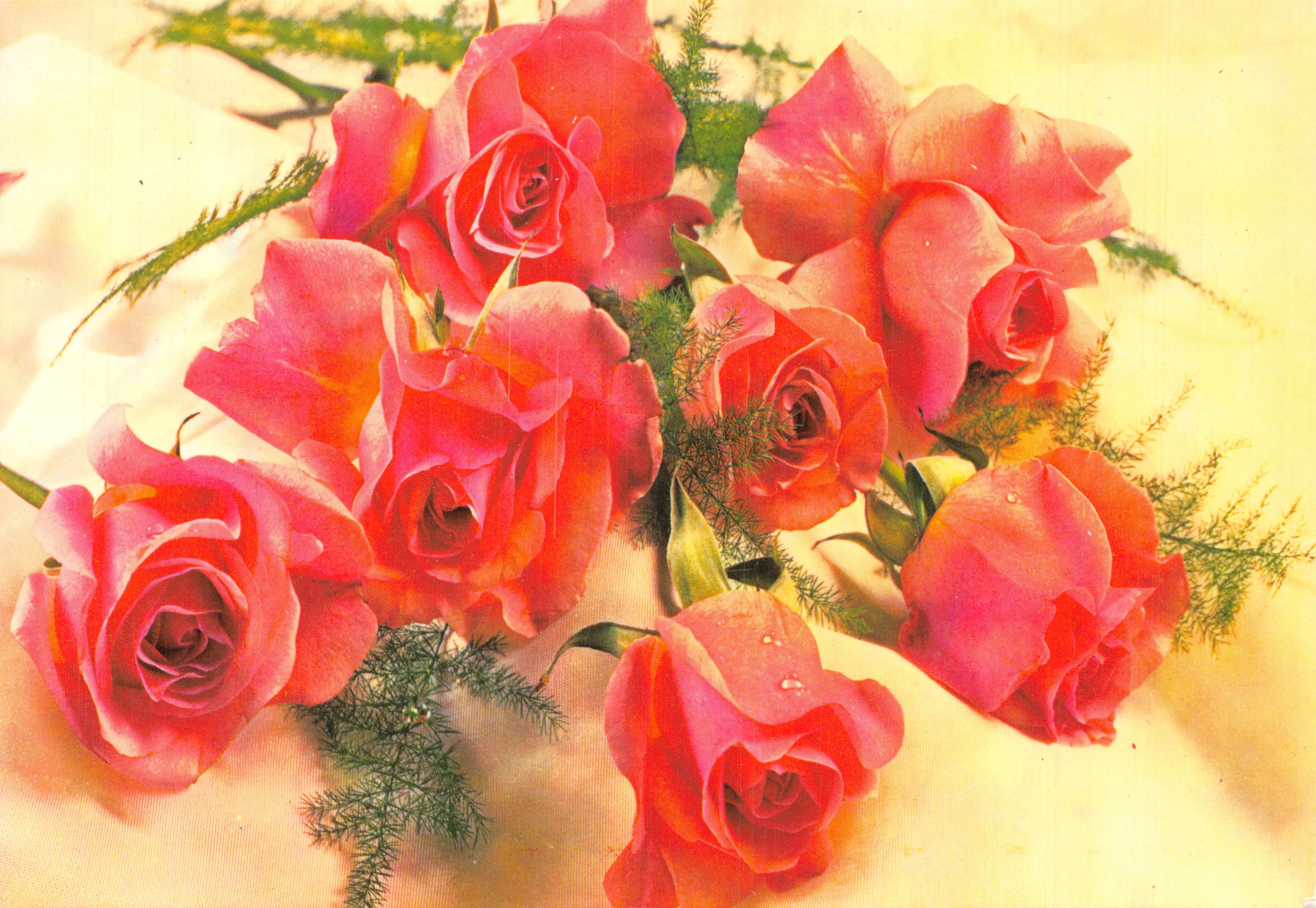 Bouquet de roses — composition florale — éditeur IMPRIMÉ SUR LA CARTE