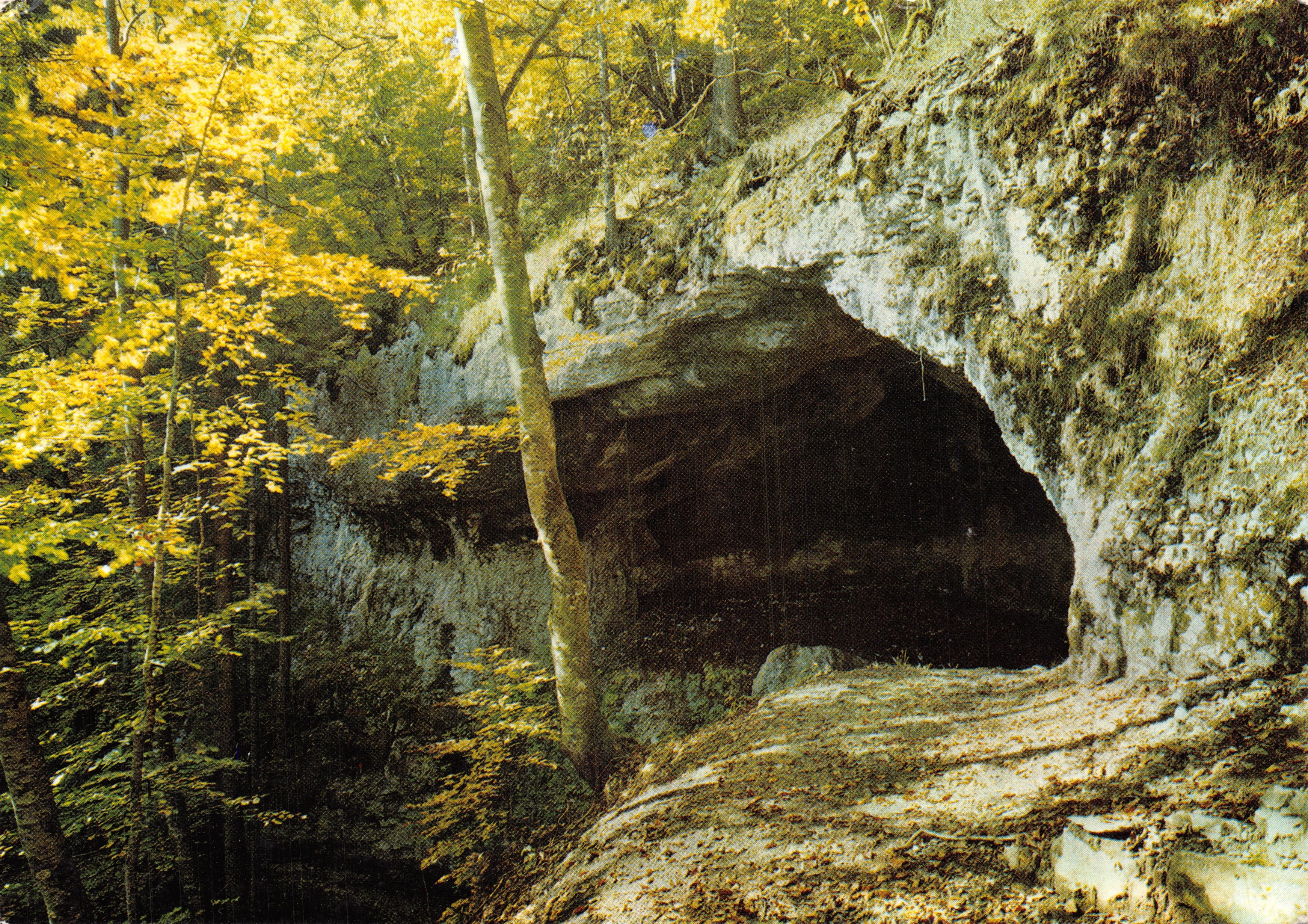 Vallorbe — La Grotte aux Fées — éditeur M. Défraz, n° 1751