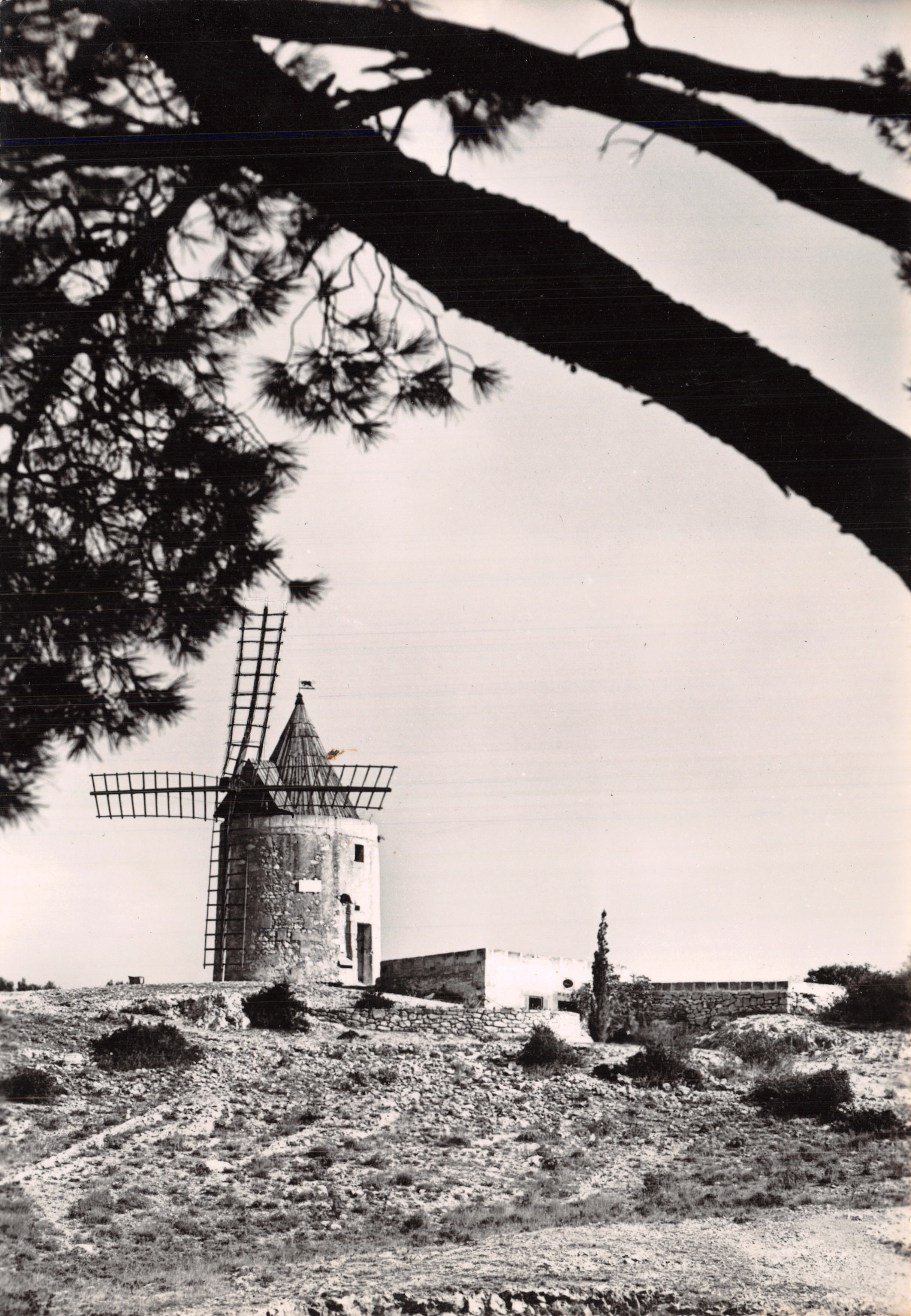 Molino di Daudet — Provenza — Editions S.E.P.T. - 2, via Alexis-Mossa - NICE