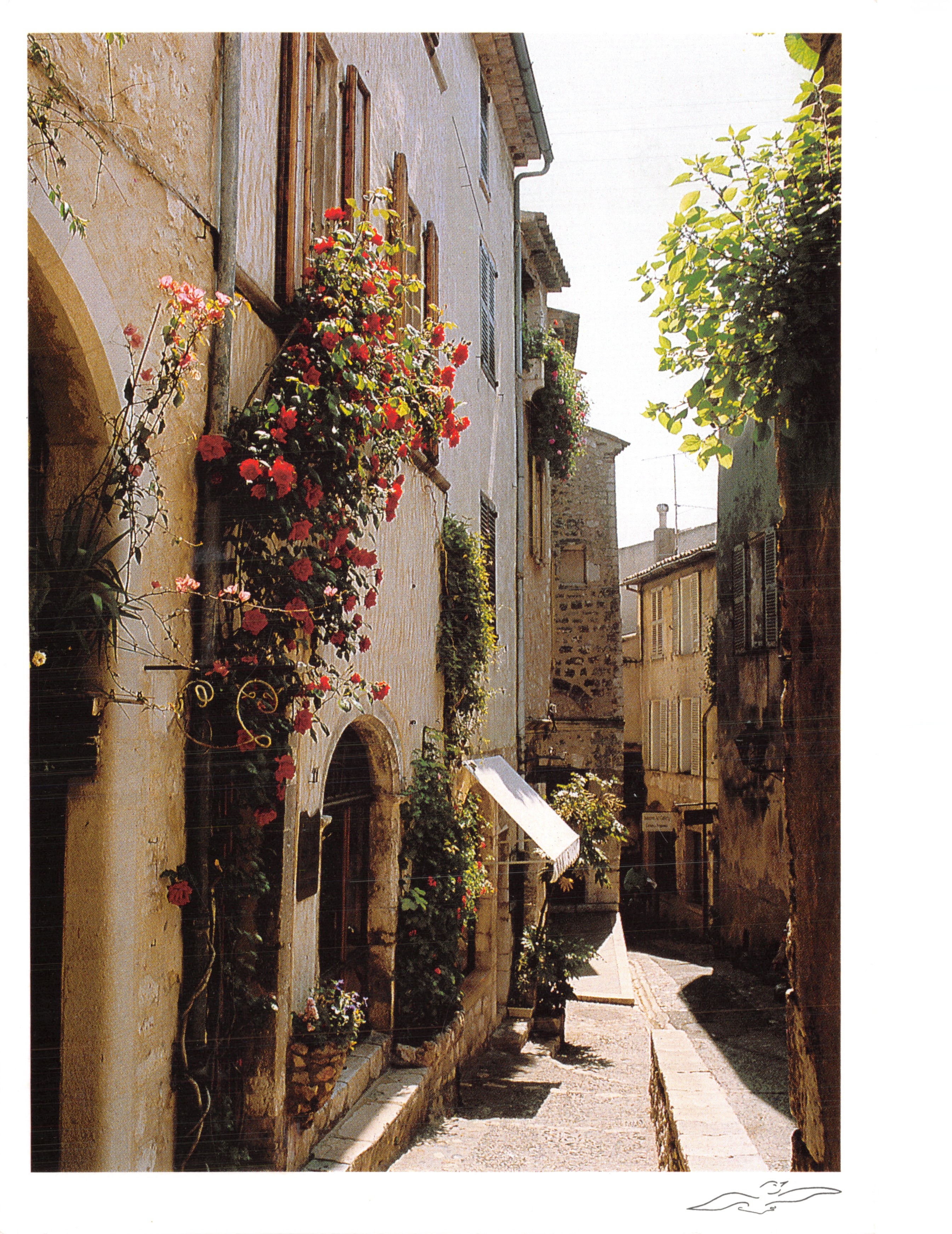 Rue fleurie — rue pavée ombragée avec rosiers en fleurs — Photo Nicolas Fournier, G.526
