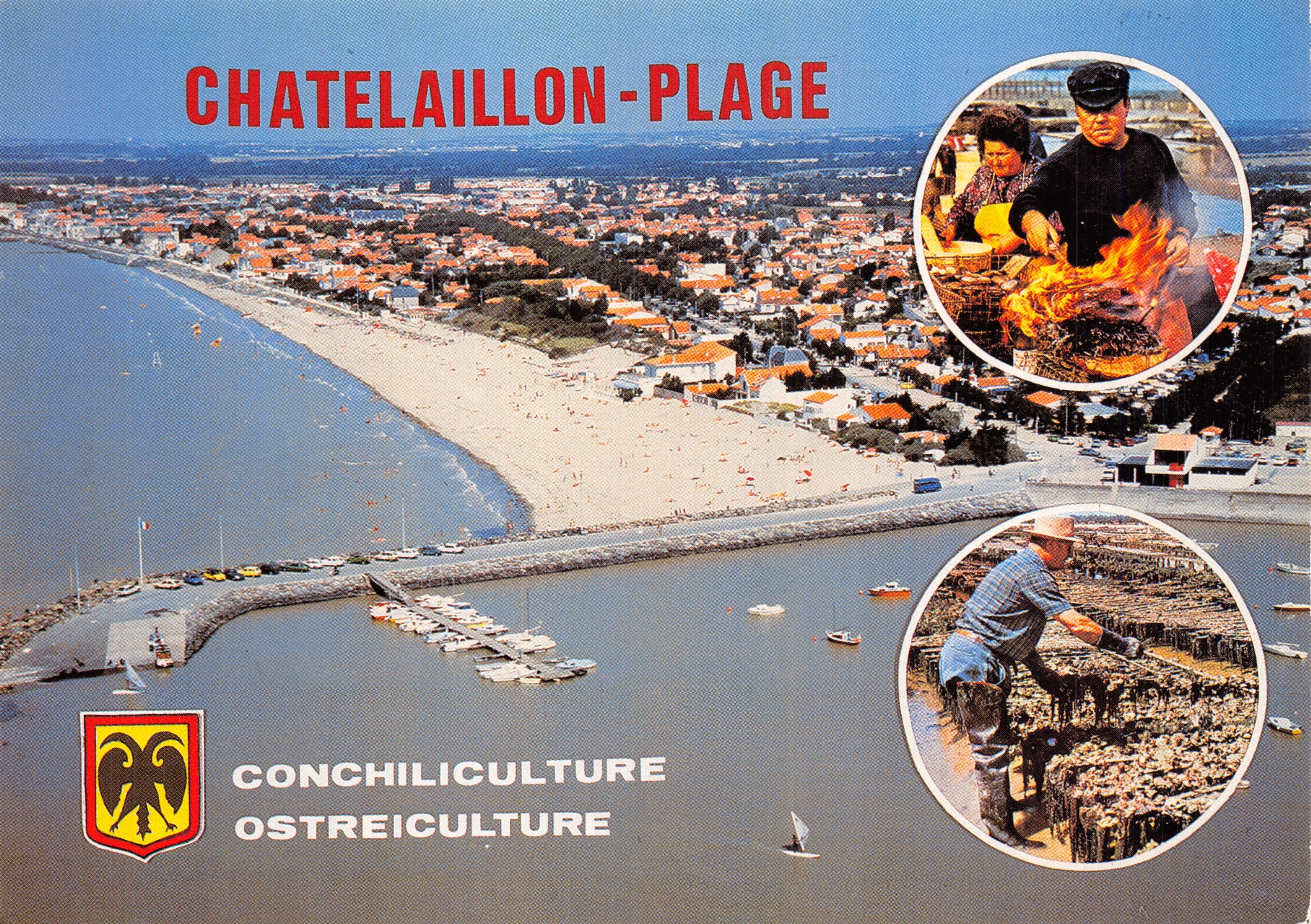 Châtelaillyon-Plage — vue aérienne de la station et de l'activité ostréicole — éditeur ARTAUD Frères