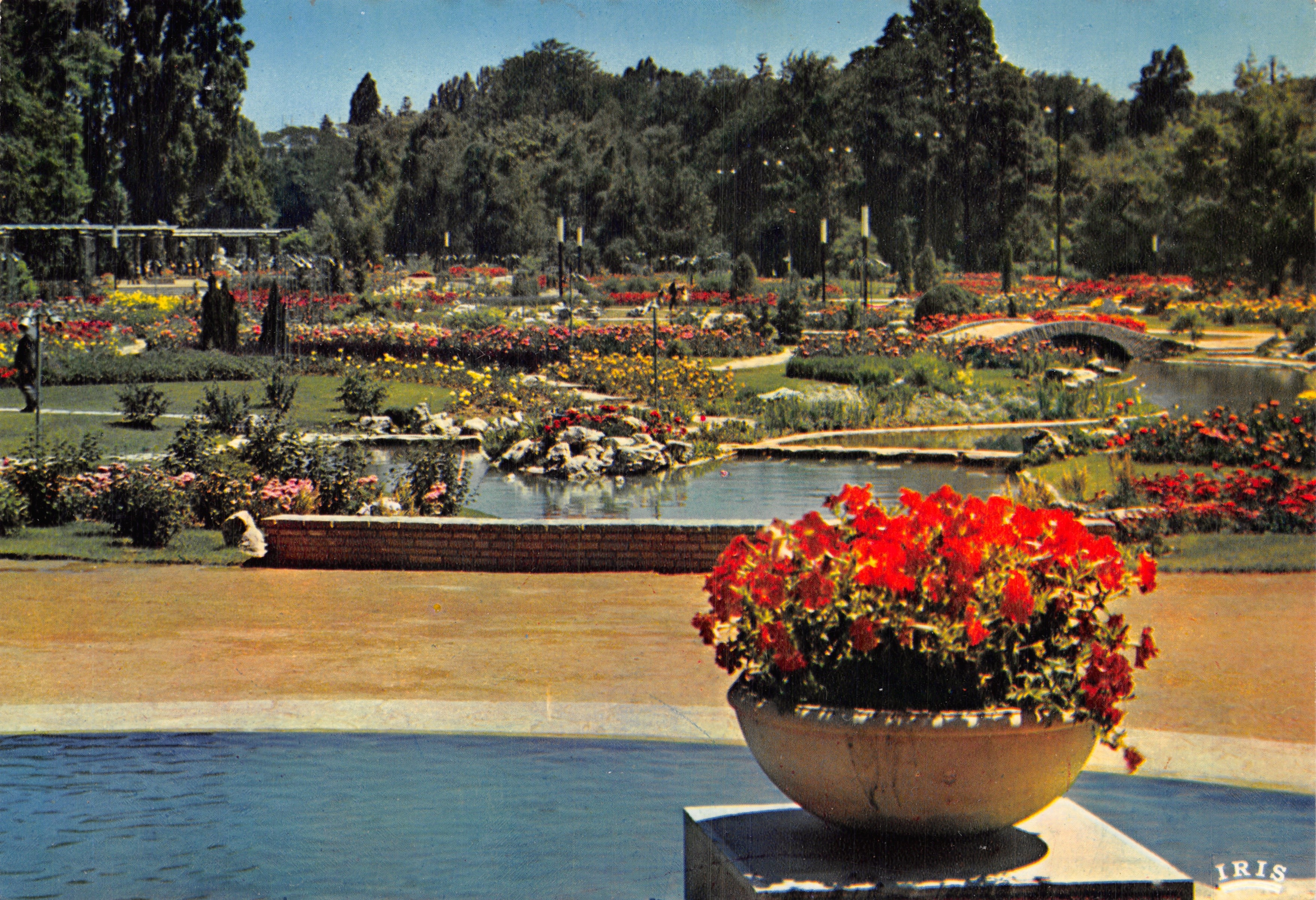 Giardino botanico — vista panoramica con laghetto e ponte — editore IRIS
