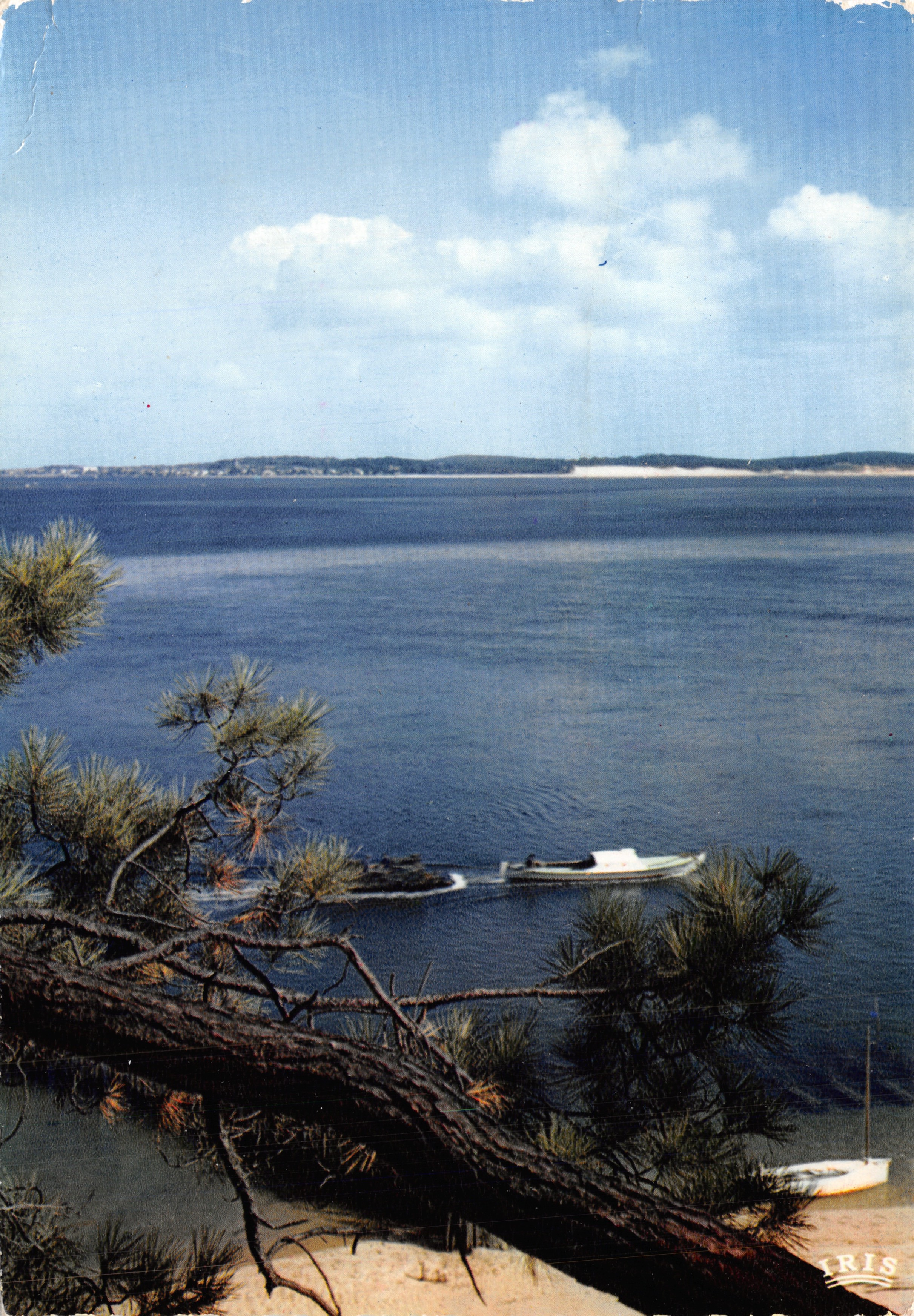 Cap Ferret — uitzicht op de baai met een visboot — Editions Modernes Réproduction Intermitte