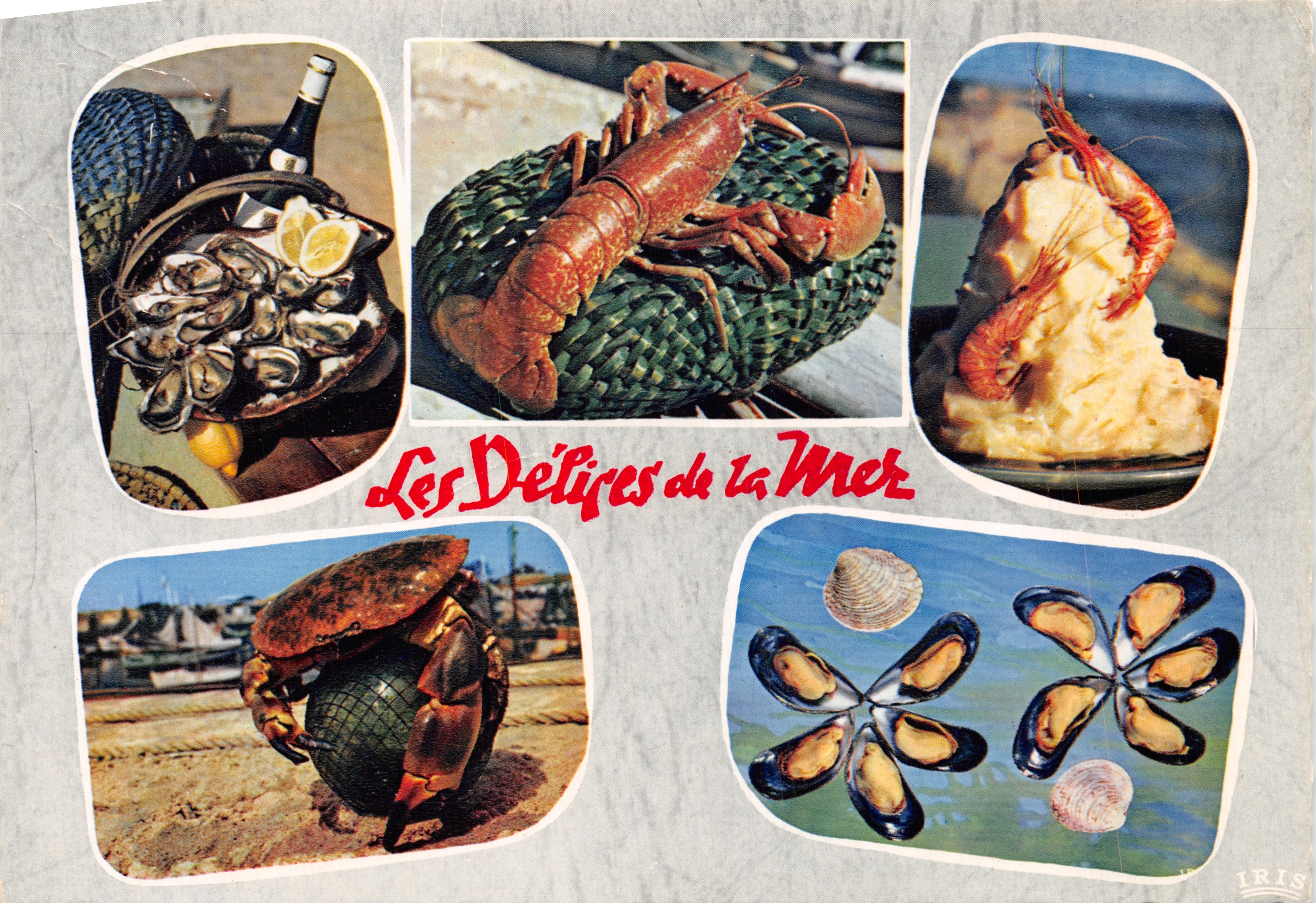 Les Délices de la Mer — éditeur IRIS, n° 17/180
