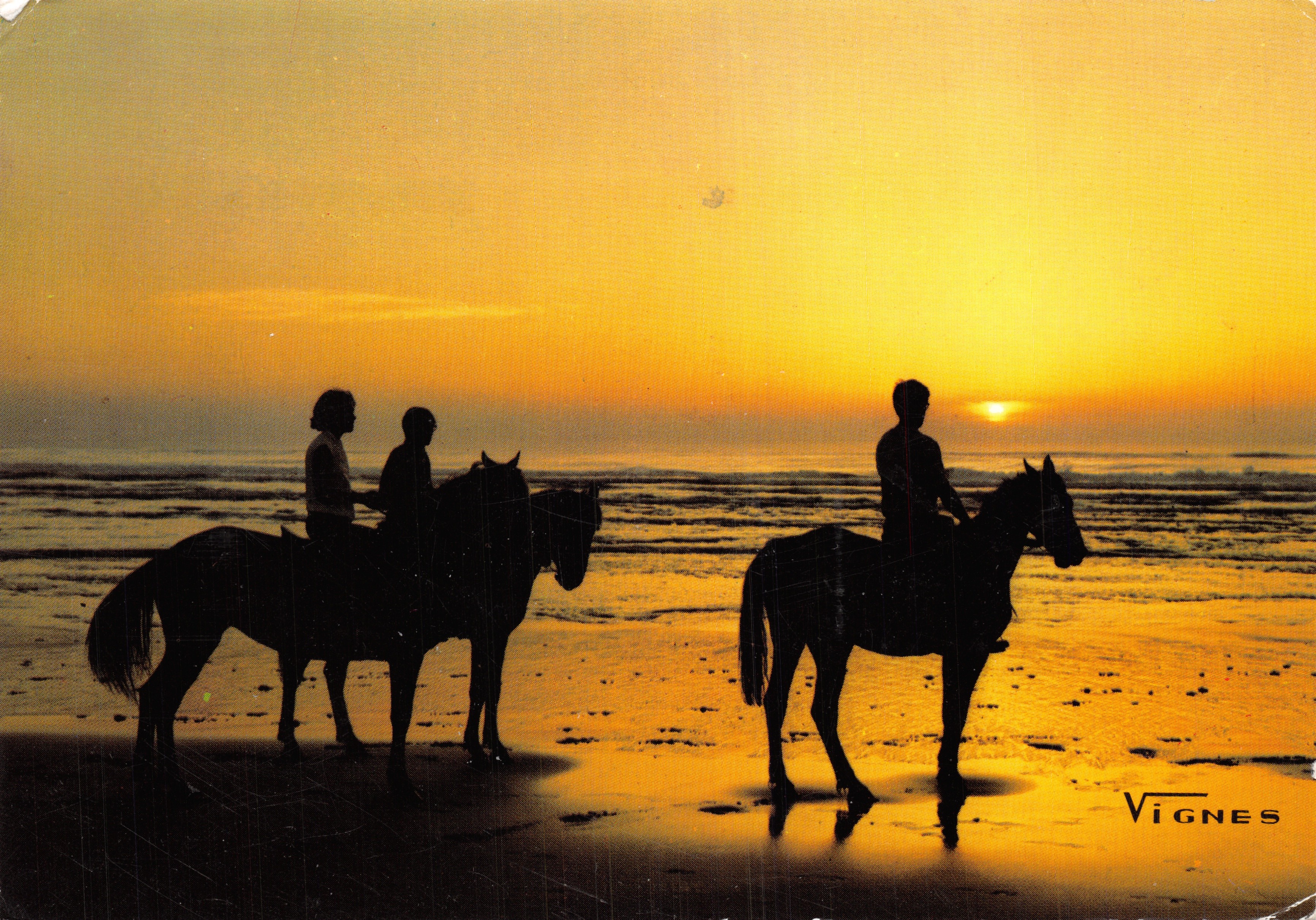 Jinetes en la playa — atardecer — VIGNES