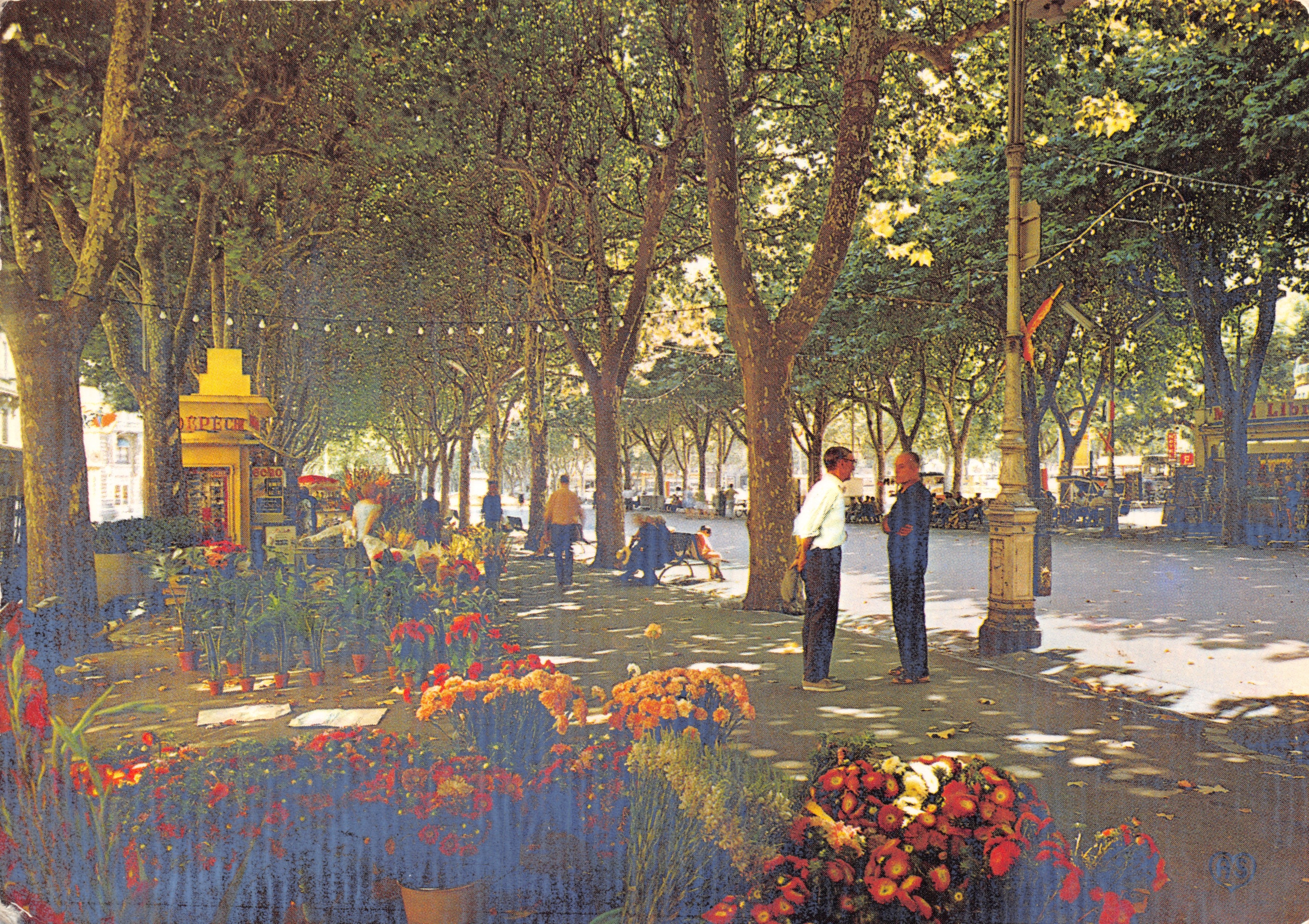 Marché aux fleurs — allées Paul Riquet — Société des Cartes Postales APA-POUR