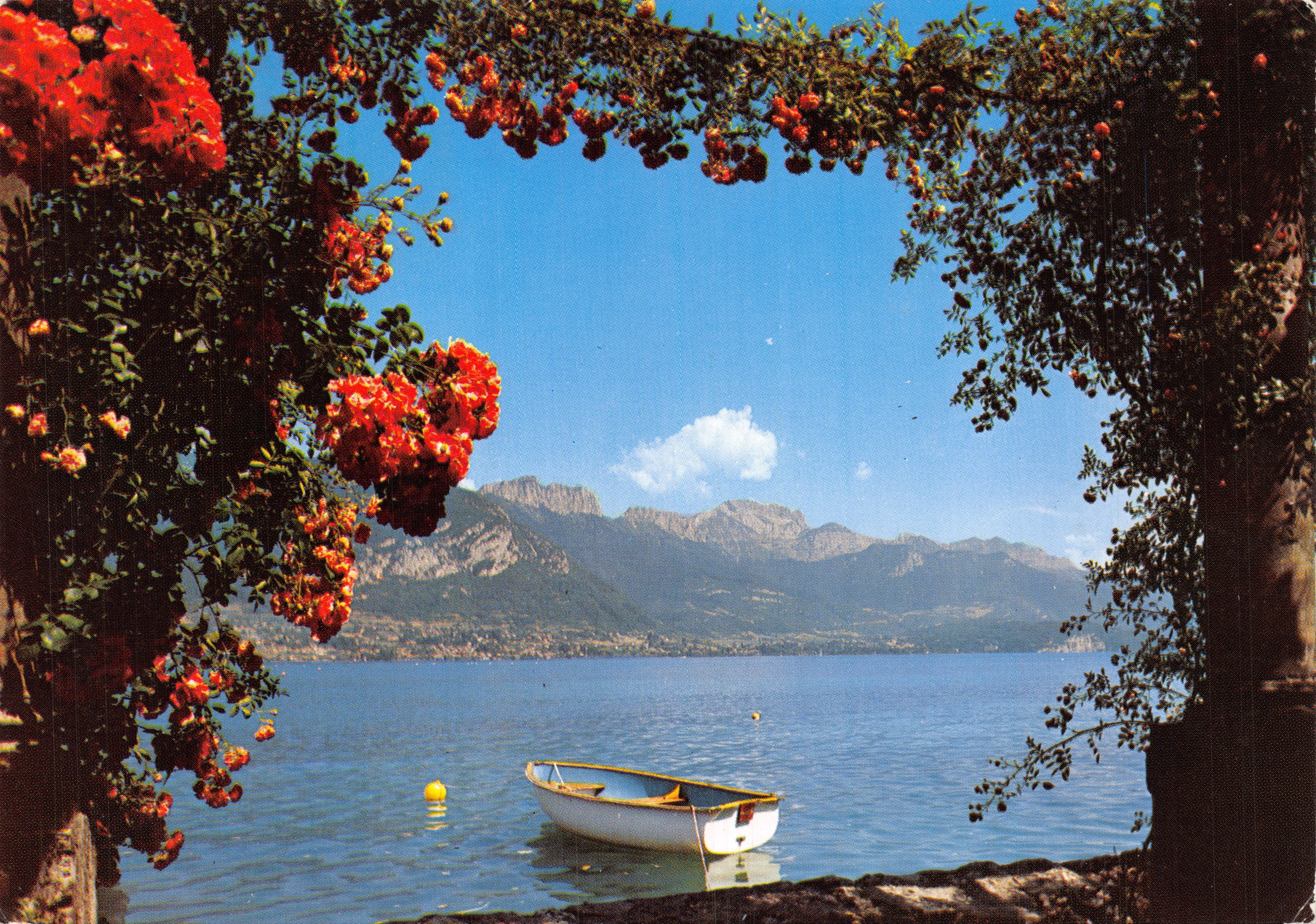 Lago d'Annecy — Pergola fiorita al bordo dell'acqua — Ed. TELE S.A. N° 5955