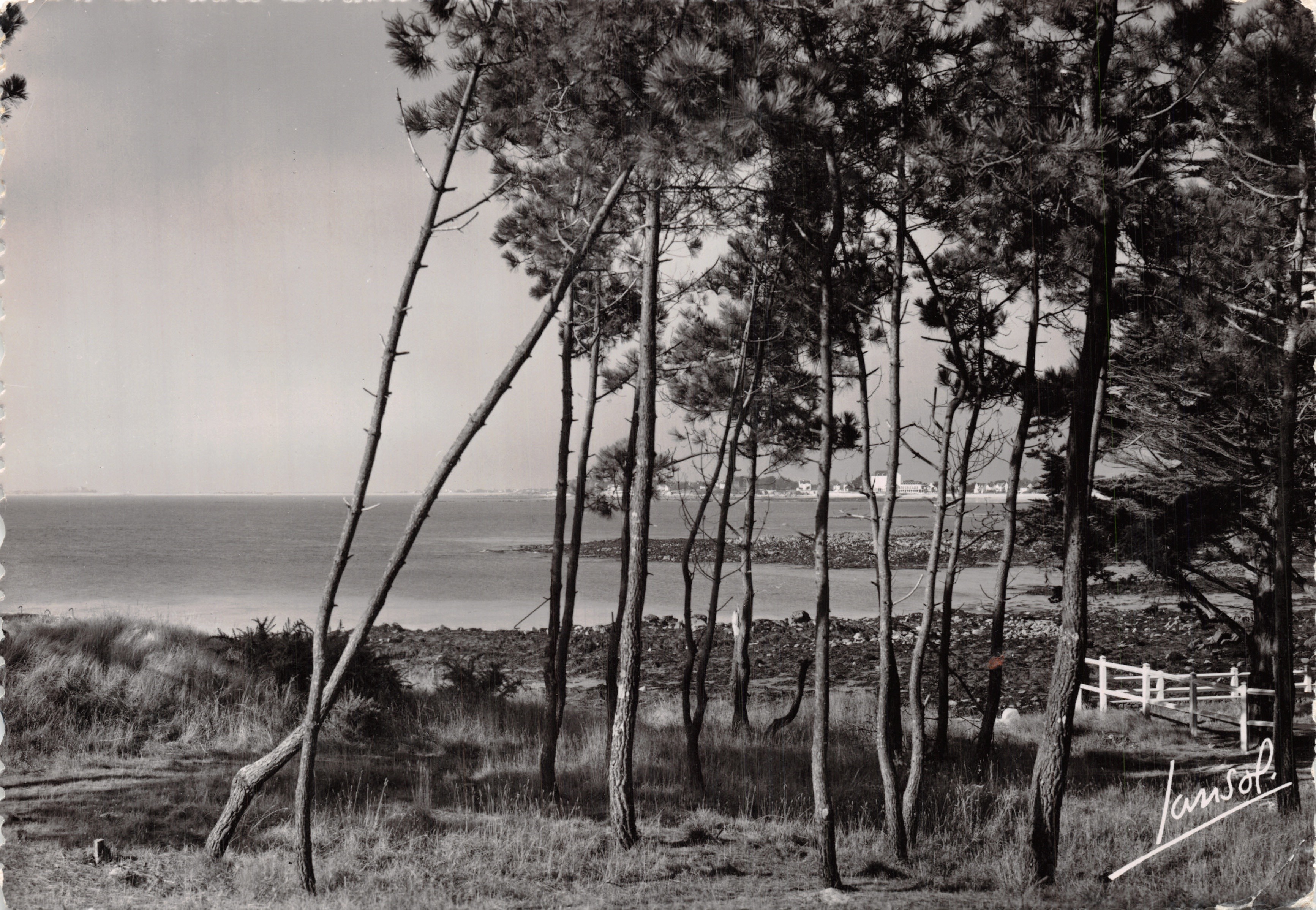 Carnac (Morbihan) — Pines an der Pointe Churchill — Éditions Photographiques Janssot